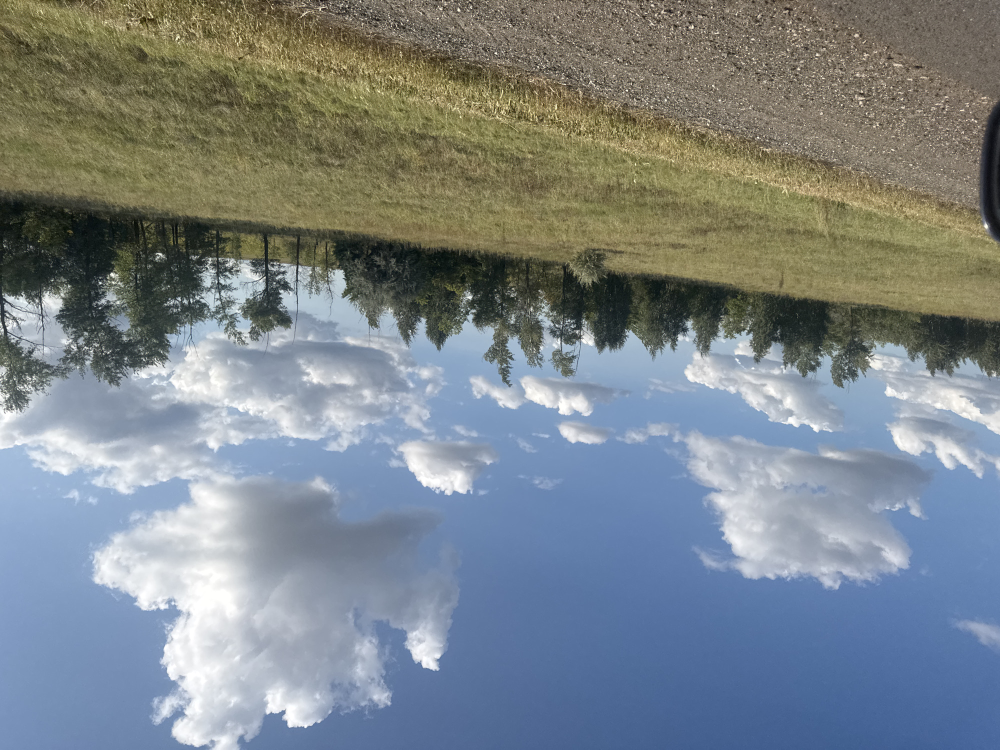 The image depicts a rural landscape under a bright blue sky with scattered white clouds. In the foreground, a dirt road runs along the left side of the frame, its surface composed of gravel and small stones. Adjacent to the road, a field of dry, golden-green grass slopes gently upwards. A line of trees, predominantly deciduous with some coniferous species, forms a dense backdrop across the middle ground. The trees vary in height and density, with some appearing slender and wind-swept, while others are fuller and more established. The overall scene suggests a natural, undeveloped environment, characteristic of the Perevolotsky district in Russia.