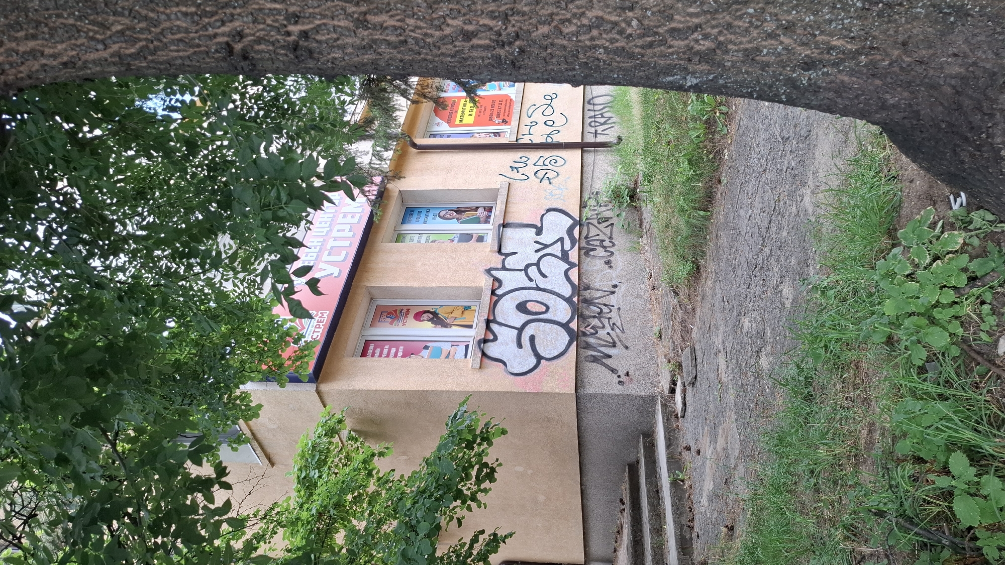 In the city of Sofia, Bulgaria, a two-story building is visible, partially obscured by trees. The lower section of the building has a light brown facade, with a concrete base marked by graffiti. A set of concrete stairs leads up to the entrance on the left. The upper floor has a lighter tan facade and features three windows, each displaying advertisements. The central window shows a young woman in a yellow coat and red hat, while the right window features another young woman in a green top. The left window has an advertisement that is partially obscured by leaves. Large, stylized graffiti, predominantly in white with a black outline, is spray-painted across the lower part of the upper facade, above the concrete base. Additional, less distinct graffiti is present on the concrete base itself. The area around the building is overgrown with grass and weeds, and a large tree trunk is prominently positioned in the foreground on the right.
