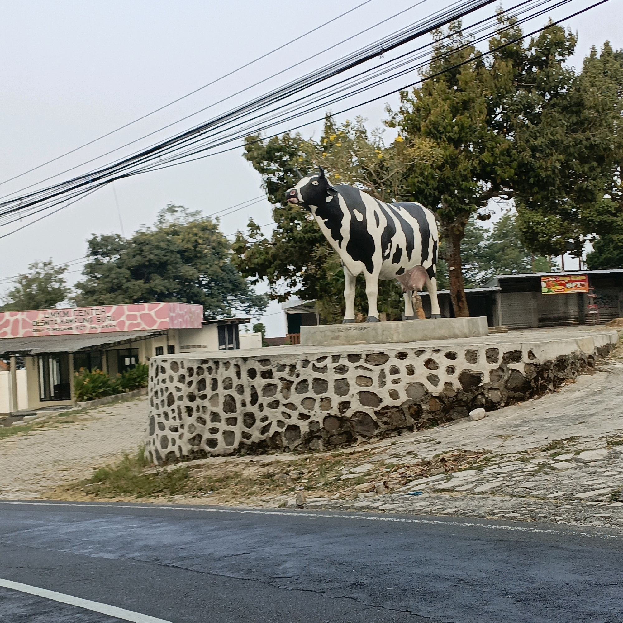 This is a medium-shot, eye-level, outdoor photograph of a Holstein cow statue situated on a raised concrete platform. The statue, which is black and white with a pink udder, faces to the left with its head slightly tilted up and tongue out. The platform is surrounded by a low, stone-and-mortar wall. Behind the statue, a building with a pink, giraffe-patterned facade and the words "UMKM CENTER DESHITA KAMPUNG SUSU" is visible. Further in the background, there are trees and utility poles with numerous wires crisscrossing the sky. The foreground shows a paved road with a white line marking. The scene appears to be in Sumogawe, Indonesia, as indicated by text on the building. The sky is overcast, suggesting it may be dawn, dusk, or a cloudy day.