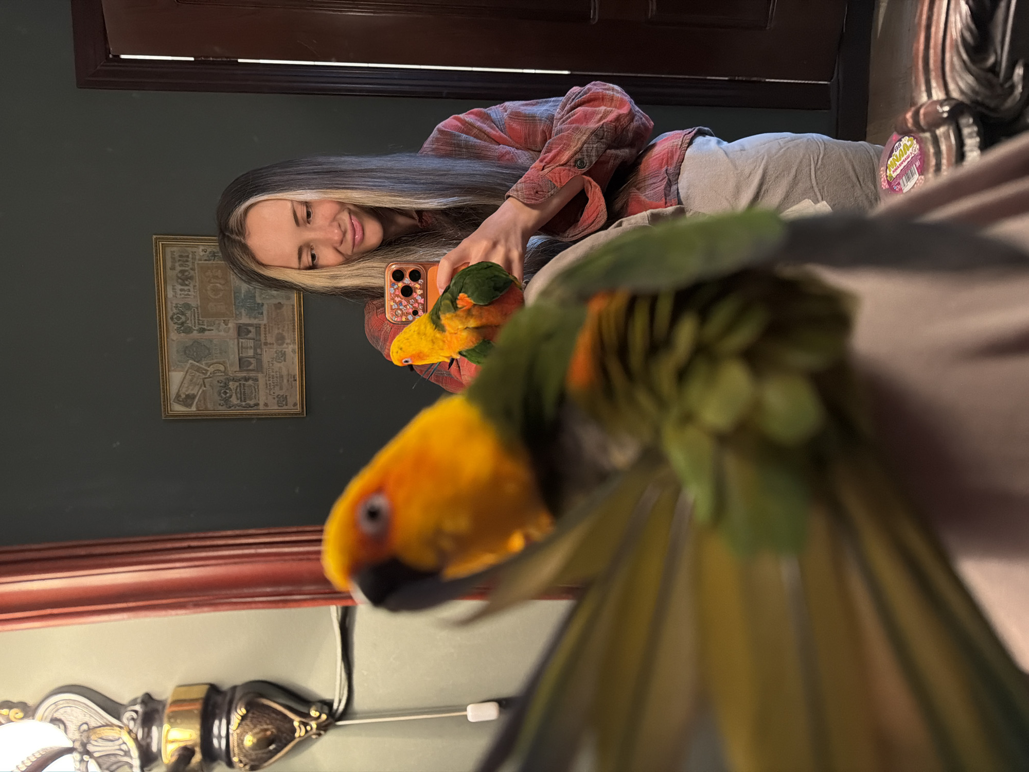 A woman with long, dark and blonde hair is holding an orange and green bird in her left hand, taking a picture with a smartphone in her right hand. She is wearing a red plaid shirt and gray pants, and is situated indoors. A second orange and green bird is positioned closer to the camera. Visible elements in the background include a dark wood doorframe, a framed picture on a dark green wall, and a lamp. There is no evidence to indicate this image was taken in the city of Khimki, Russia.