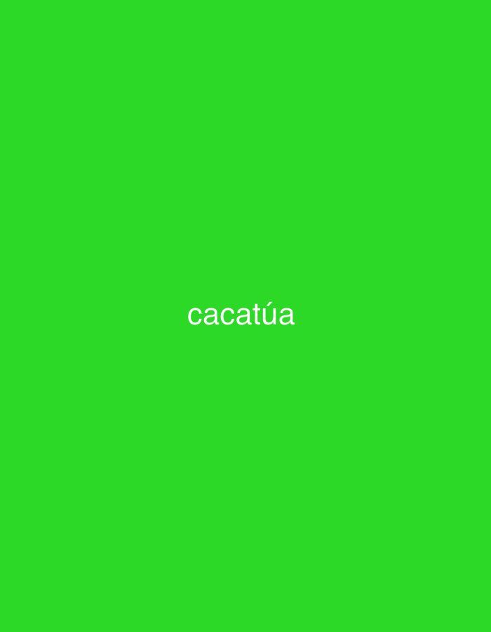 The image features a solid, vibrant green background, occupying the entire frame. Centered horizontally against this plain backdrop, the word "cacatúa" is displayed in white, sans-serif lettering. No other subjects, objects, people, or activities are depicted in the image. There are no visible environmental cues, such as time of day, weather, or specific landmarks, that would suggest a particular setting or location. The image is a simple graphic composed solely of a green color field and white text. While provided in the context of Santa Ana, Venezuela, the visual content itself does not offer any identifiable connection to this location.
