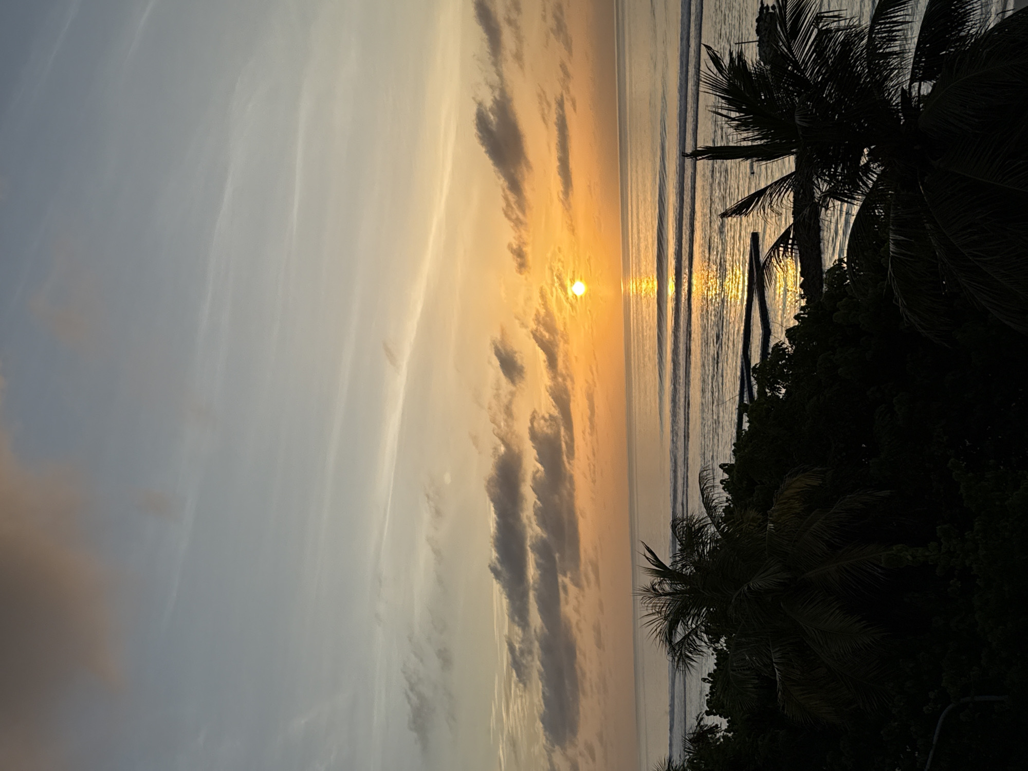 An outdoor, high-angle shot captures a serene sunset over the ocean near Malé, Maldives. The sun, a bright orange orb, is positioned just above the horizon, casting a shimmering reflection on the water's surface. The sky is a gradient of soft blues and oranges, with scattered clouds adding texture. In the foreground, the dark silhouettes of palm trees and lush vegetation frame the scene. The ocean exhibits gentle waves, with distinct lines of surf breaking in the distance. The overall impression is one of tranquil beauty, characteristic of a tropical evening.