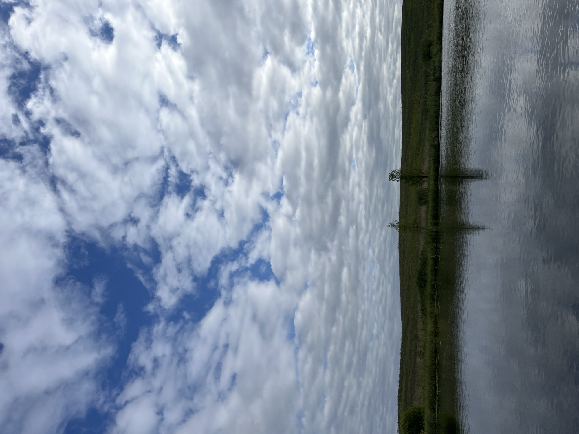 The image depicts a serene landscape at what is likely the rural area of Дунілавіцкі сельскі Савет, Belarus. The scene is dominated by a calm body of water in the foreground, reflecting the overcast sky and the distant landscape. The water's surface is dark and smooth, with subtle ripples.
The middle ground features a gently sloping grassy embankment covered in green vegetation. A few small, sparse trees are visible on this embankment, their reflections appearing faintly in the water. The embankment is lined with reeds and other marsh plants along the water's edge.
The background is characterized by a vast expanse of sky filled with a dynamic pattern of white, puffy clouds interspersed with patches of deep blue. The clouds are dense in some areas and wispy in others, creating a sense of depth and movement. The overall atmosphere is tranquil and natural. No people or animals are clearly visible in the frame.
