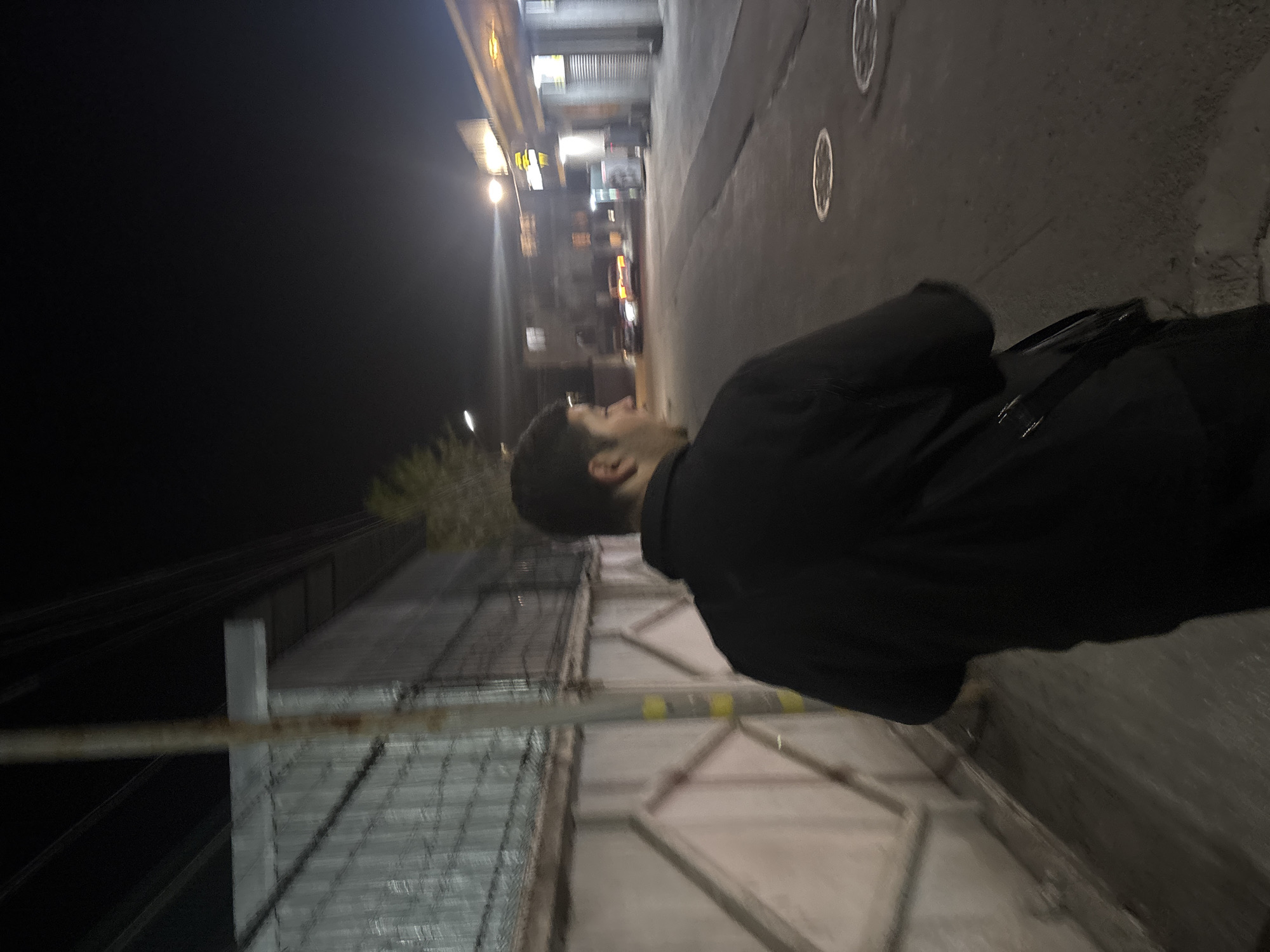 A person wearing a black shirt stands on a Yerevan, Armenia, city street next to a metal fence. Behind the fence is a tree and dark sky. Street lights shine further down the street. The person is facing the lights.