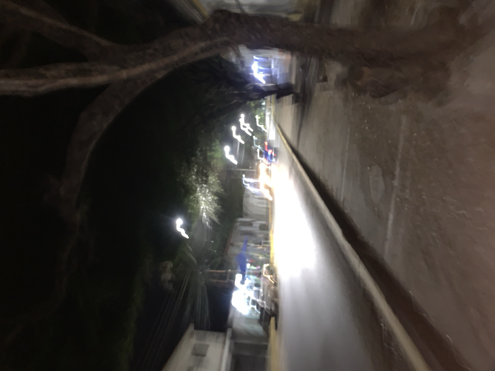 The image captures a severely motion-blurred and out-of-focus night scene, appearing to be rotated counter-clockwise. The primary subjects are indistinct streaks of artificial light and dark, shadowy forms.
On the left side of the rotated image, a large, dark area contains sinuous, thick shapes resembling tree branches or roots against an even darker background, suggesting dense foliage or trees. The right side is dominated by a bright, elongated strip of light, likely a street or pathway, illuminated by multiple light sources. These lights appear as prominent white and blue streaks and glowing orbs due to motion blur, hinting at vehicle lights, streetlights, or illuminated signs.
Along the brighter strip, faint, indistinguishable structures or buildings can be glimpsed, particularly in the lower-middle and upper-right sections of the rotated image. A notable blue, somewhat rectangular shape is visible amidst the blurry structures and lights in the lower-middle section, possibly a tent, awning, or part of a building.
The activity suggested is movement, likely of the camera or vehicles, creating the significant motion blur. The time of day is clearly night, characterized by the deep darkness and reliance on artificial illumination. The overall scene conveys an urban or semi-urban environment in Tacarigua, Venezuela, but the extreme blur makes precise identification of elements impossible. No discernible text is visible.