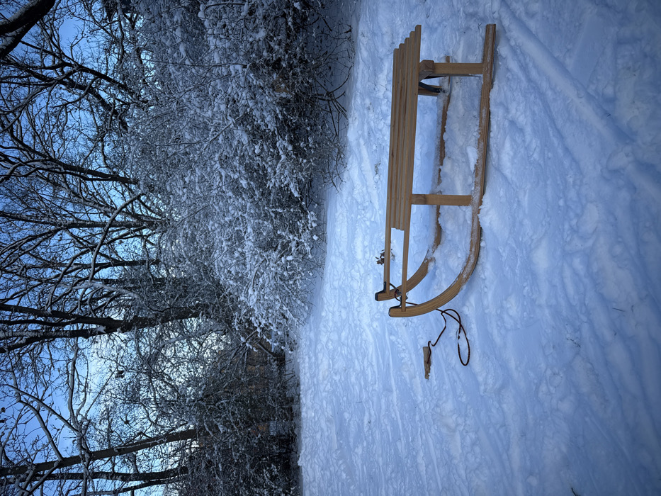 A traditional wooden sled rests on a snow-covered ground in a park or wooded area in Berlin, Germany. The sled, constructed from light-colored wood with curved runners, is positioned centrally in the frame, angled slightly to the right. A black rope, used for pulling, is attached to the front of the sled and lies coiled on the snow to its left. The ground is uniformly covered in fresh, undisturbed snow, showing subtle indentations and tracks leading towards the background. The background consists of a dense arrangement of deciduous trees and bushes, all heavily laden with snow on their branches and twigs, creating a frosted appearance. The bare branches of the trees extend upwards against a clear, light blue sky visible above the tree line. No individuals or animals are present in the scene. The overall environment depicts a pristine winter landscape.