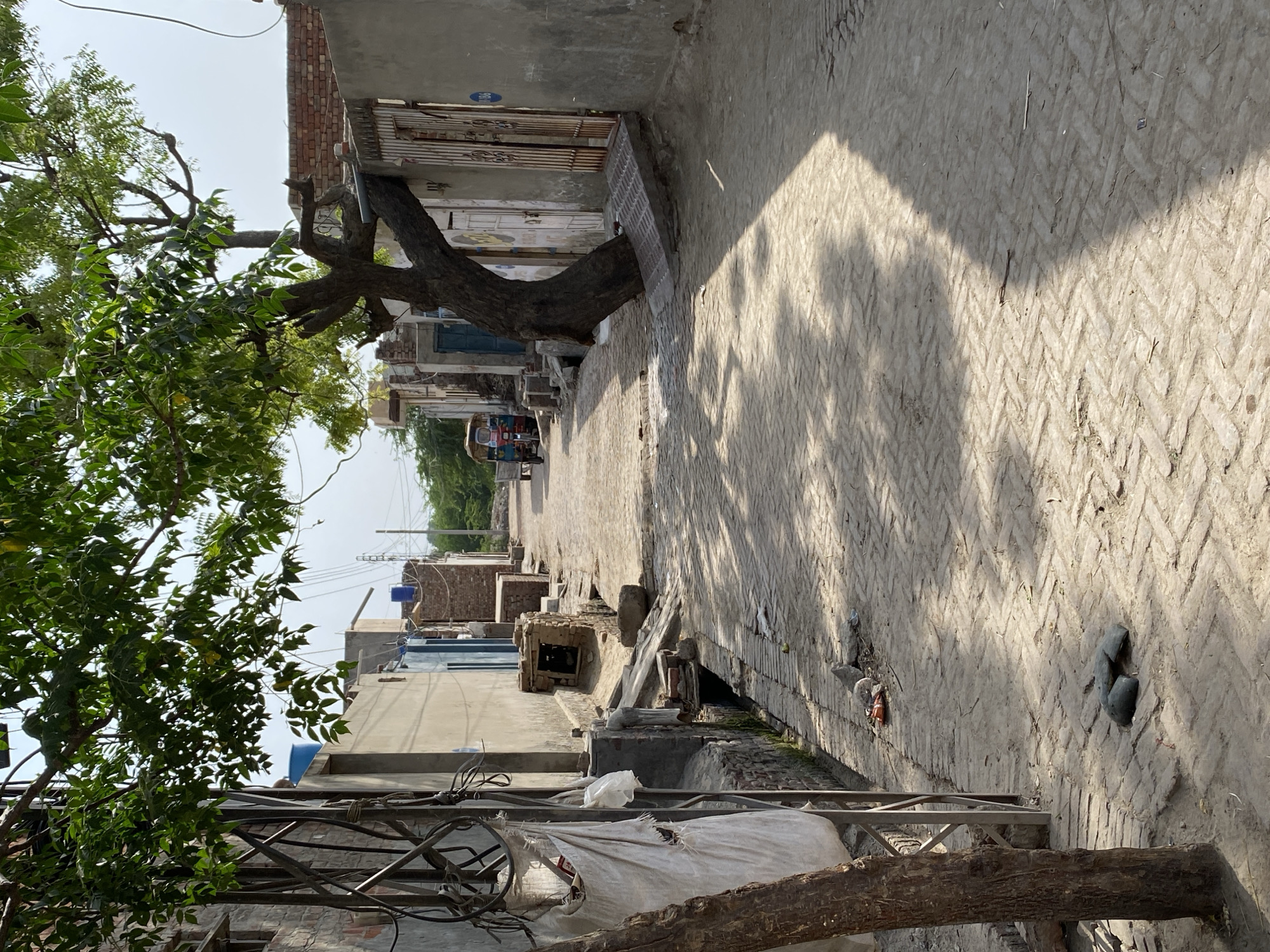 The image depicts a narrow street in Chak 166 GB, Pakistan. The street is paved with interlocking bricks. Buildings line both sides of the street, some appearing aged with exposed brickwork. A mature tree grows on the left side, its branches extending over the street. In the distance, a vehicle is visible. The light suggests a sunny day, with shadows cast across the street.