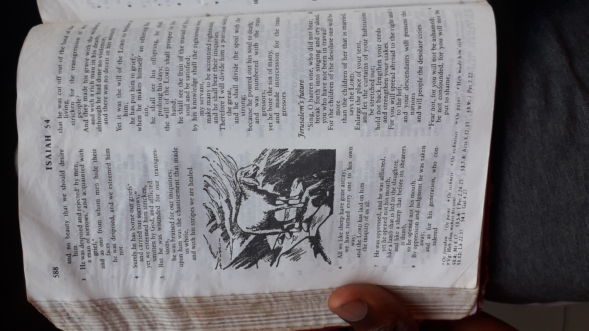 The image shows a close-up, eye-level view of an open Bible. The page is filled with text, primarily in English, with some references to Hebrew. The chapter displayed is Isaiah 54. There is also a black and white illustration of a sheep standing on a rocky outcrop on the left side of the page. The Bible appears to be well-worn, with some creasing on the pages. A person's thumb and forefinger are visible in the bottom left corner, holding the book open. The background is blurred, but suggests an indoor environment with artificial lighting. There is no visible indication of the city of Nkpor, Nigeria, in the image.