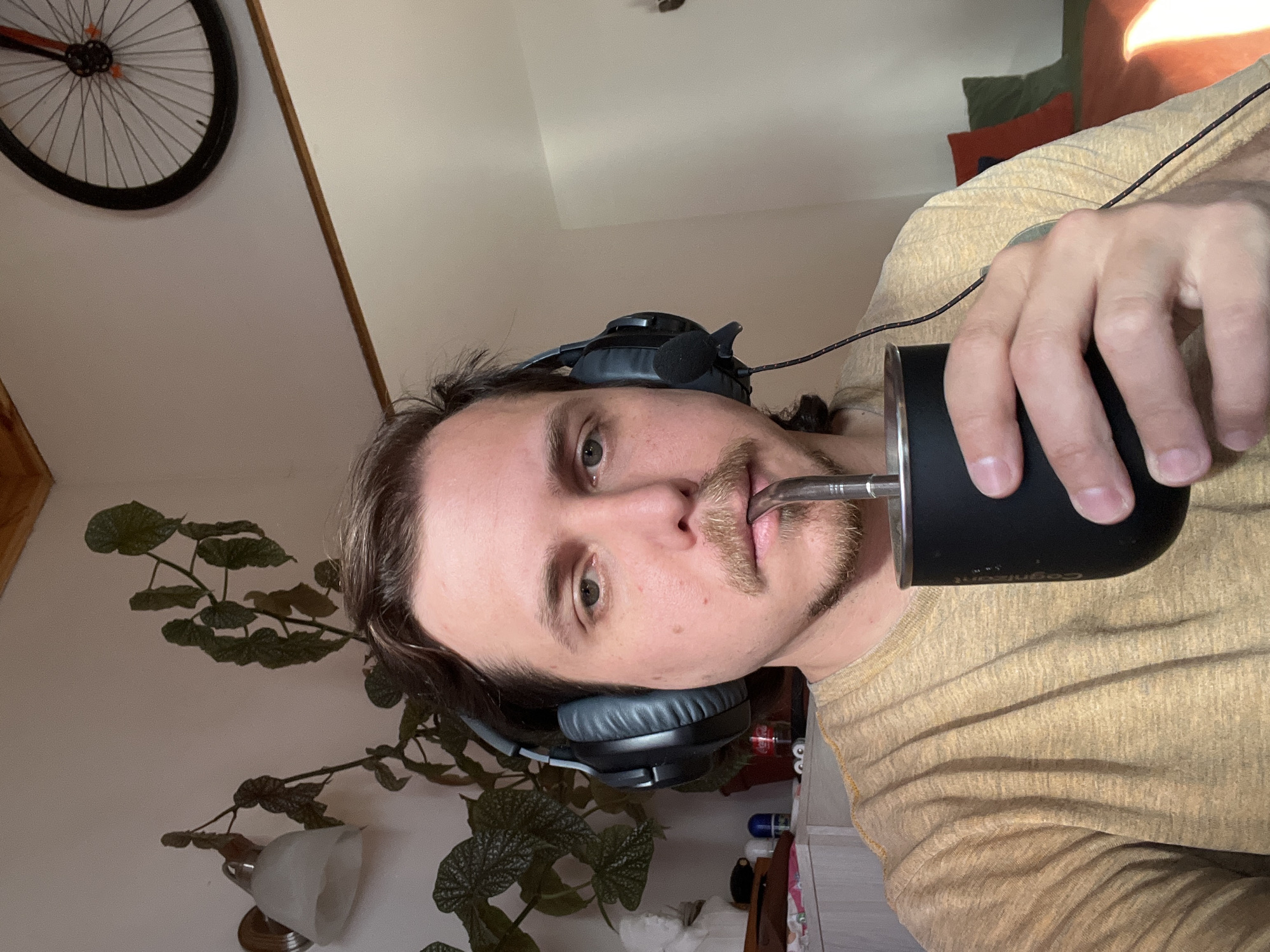 The image, oriented horizontally, captures a young man in an indoor setting, likely a home in Ushuaia, Argentina. He has light skin, brown hair, brown eyes, and a mustache with stubble. He is seen with a neutral expression, looking directly at the camera while drinking from a black insulated cup through a metal straw, commonly known as a "bombilla" for mate. He wears grey over-ear headphones with a microphone, suggesting he might be on a call, gaming, or listening to media. His attire is a light tan or yellowish long-sleeved t-shirt.
The background reveals a white wall. To the upper left, a black bicycle wheel is mounted as decor. A large houseplant with distinctive green leaves, possibly a begonia, cascades downwards behind him. A wall lamp with a frosted glass shade is visible below the plant. The lighting appears bright, indicative of daytime, with warm sunlight creating a glow in the upper right background, suggesting a window nearby. On the black cup, the word "Cognizant" is faintly visible. The act of drinking mate is a strong cultural cue for Argentina, including the region of Ushuaia.