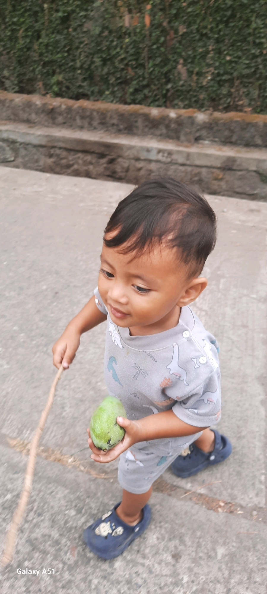 A young child, likely a toddler, walks on a paved surface, holding a green fruit in their right hand and a thin stick in their left. The child is wearing a grey short-sleeved shirt with a dinosaur pattern and grey shorts. Dark blue slip-on shoes with cartoon characters are on their feet. The background features a stone wall with greenery growing on top, suggesting an outdoor setting. The "Galaxy A51" watermark in the lower-left corner indicates the device used for capture. The scene is likely located in a residential or public outdoor area in Ploso, Indonesia.