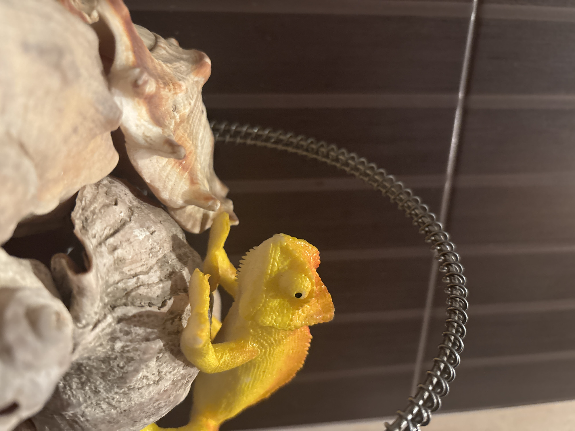 A close-up captures a yellow plastic chameleon figure clinging to a light-colored, irregularly shaped object resembling a piece of coral or a collection of seashells. The chameleon has orange detailing on its head and back. A coiled metal wire arc is positioned to the right of the chameleon. The background is a dark brown, horizontally lined surface, possibly a wall or paneling. The scene appears to be indoors, with artificial lighting creating shadows and highlights on the objects. There is no direct indication of the location in Lom, Bulgaria, as the image only presents a close-up view of inanimate objects.