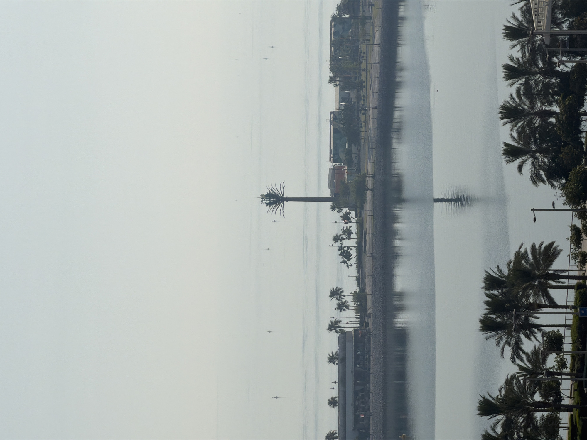 The image shows a wide-angle view of a hazy waterfront scene in a city. In the foreground, a body of water with a rocky embankment is visible, reflecting the hazy sky and structures. Beyond the water, a strip of land features various buildings and numerous palm trees. One notable structure is a tall, slender tower with a palm-like top, possibly a communication tower designed to resemble a palm tree. Further back, the water stretches to the horizon, with several small buoys or markers scattered across its surface, appearing as faint dots. The sky is pale and overcast, contributing to the overall muted and atmospheric quality of the image. There are no people or animals clearly visible in the scene.