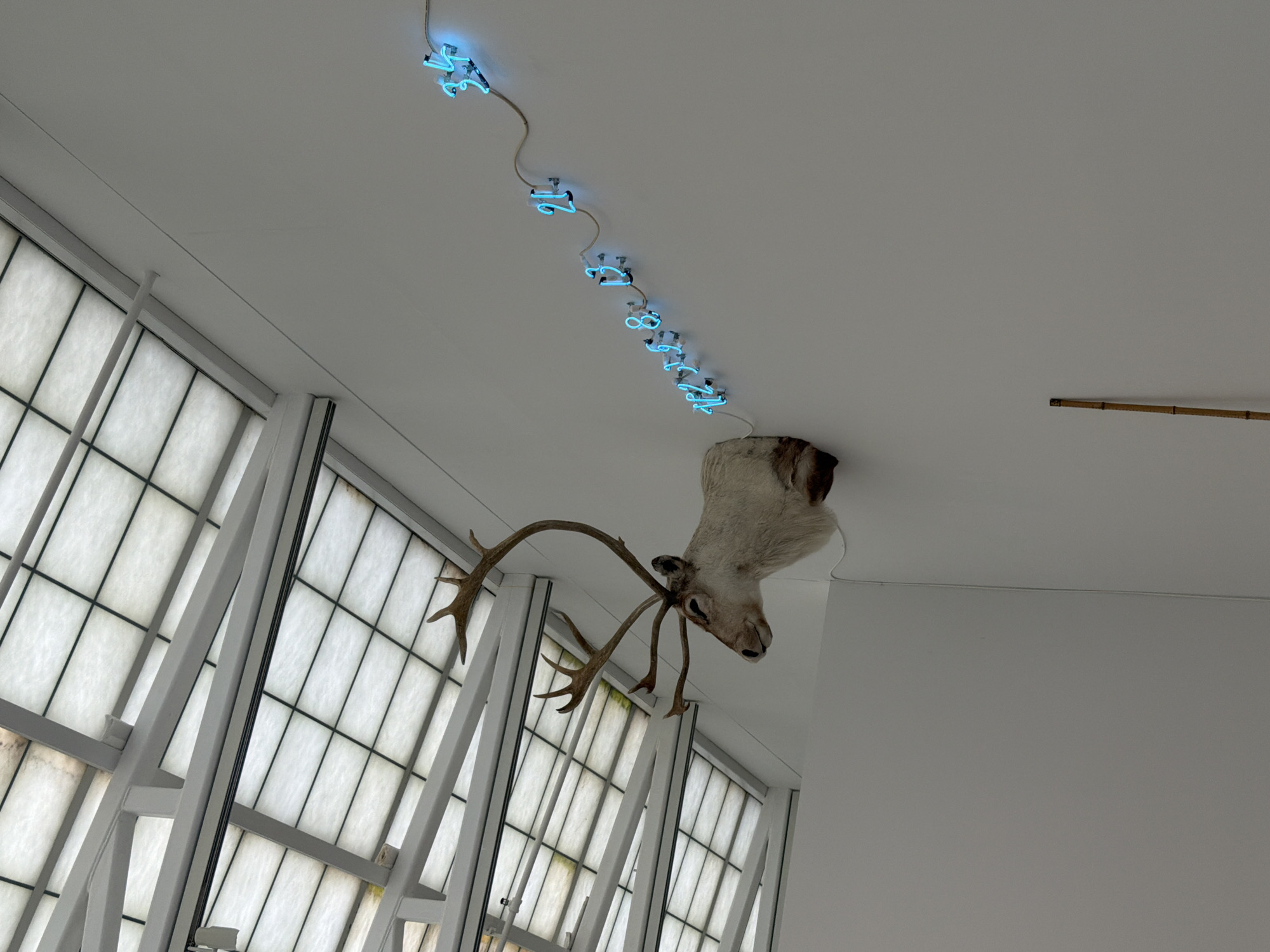 In Cold Spring, United States, a taxidermied reindeer head with large antlers is mounted on a white wall. A string of blue neon lights, shaped like numbers, extends from behind the reindeer's head, winding upwards and to the right along the wall. The neon lights appear to spell out a sequence of numbers, including "1, 2, 3, 4, 5, 6, 8, 21, 24, 34". Above the wall and reindeer, a translucent ceiling made of segmented panels is visible, supported by white structural beams. The overall environment suggests an indoor exhibition space or gallery.