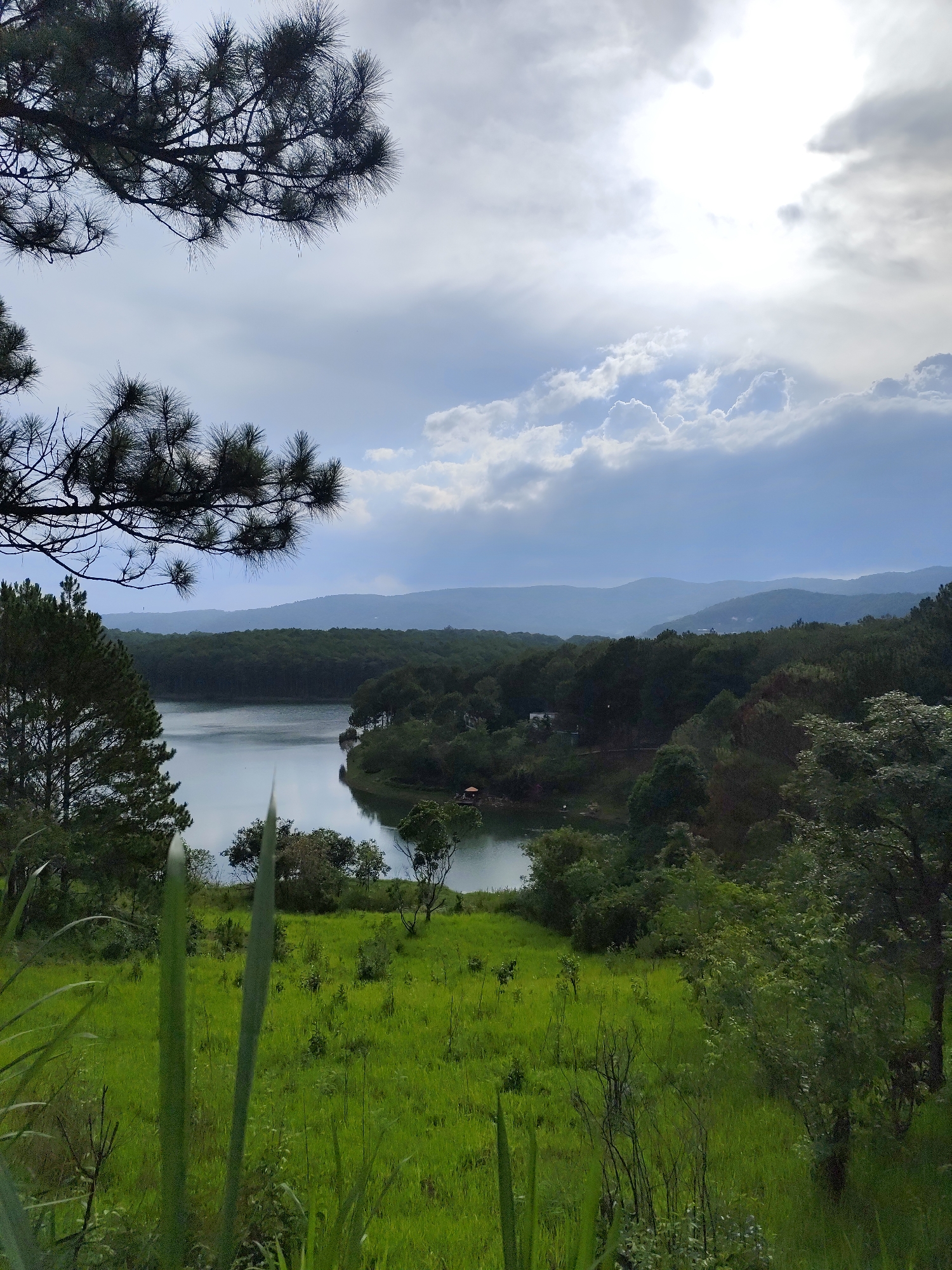 The photograph captures a scenic view in Da Lat, Vietnam, likely taken on an overcast day. In the foreground, lush green grass and various plants dominate. A body of water, presumably a lake, occupies the mid-ground, surrounded by dense trees. In the background, hazy mountains are visible. A tree branch with pine needles overhangs the scene from the upper left. The sky is cloudy with the sun attempting to break through.