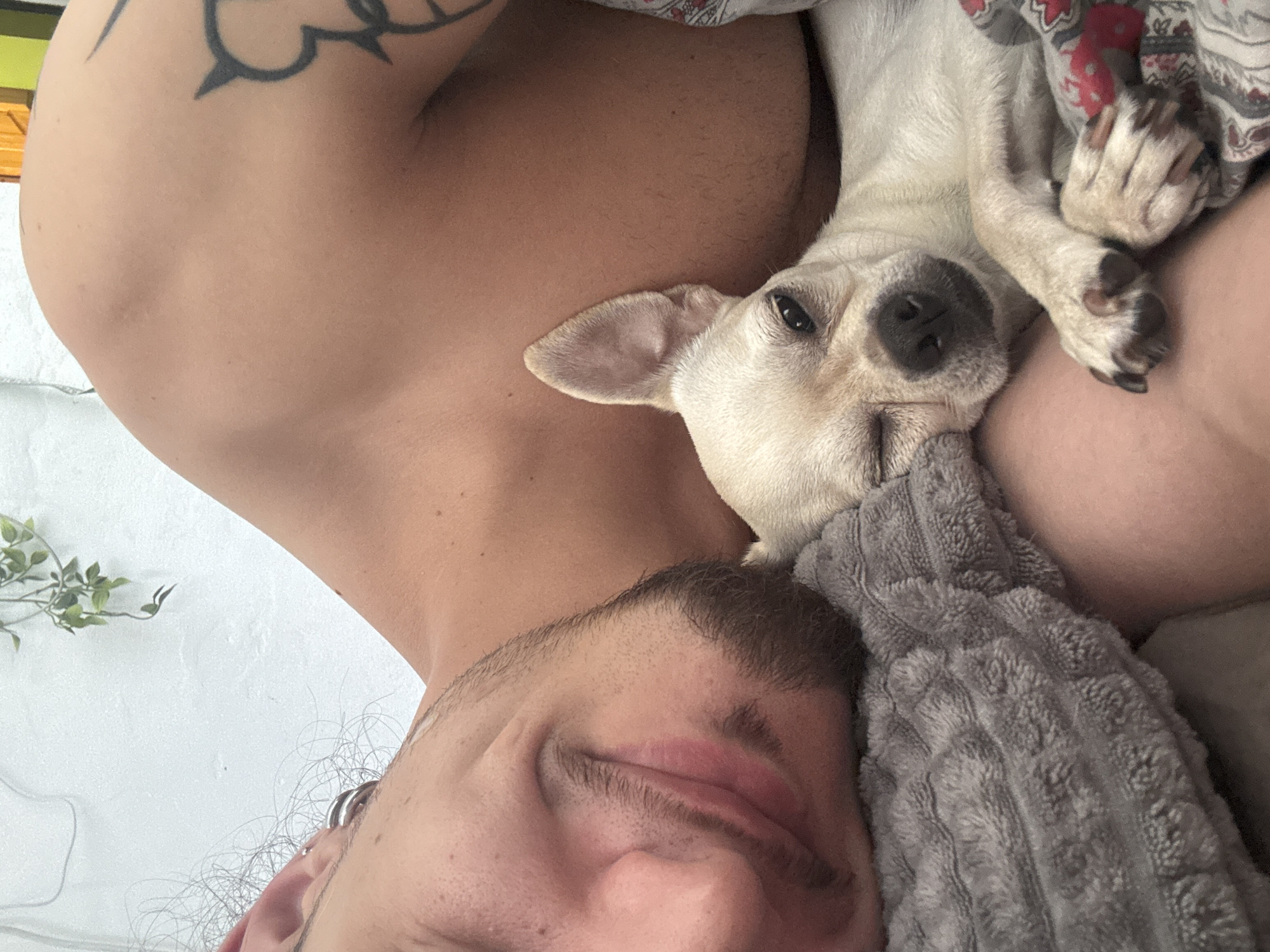 A close-up, overhead shot captures a person and a small white dog lying in bed. The person, positioned on the left, is partially obscured as they rest their head on a gray, textured blanket. Their left eye is open, and a faint smile is visible on their lips. A goatee and sideburns are present, and multiple silver hoop earrings adorn their left ear. A dark tattoo is visible on their upper right arm. The dog, a small white Chihuahua, is nestled against the person's chest, its head resting on the blanket. The dog's left eye is open, and its right eye is partially closed, giving it a winking appearance. Its paws are crossed over its chest. The background consists of a plain white wall with a single hanging green plant. The setting appears to be a bedroom. This image was taken in Sofia, Bulgaria.