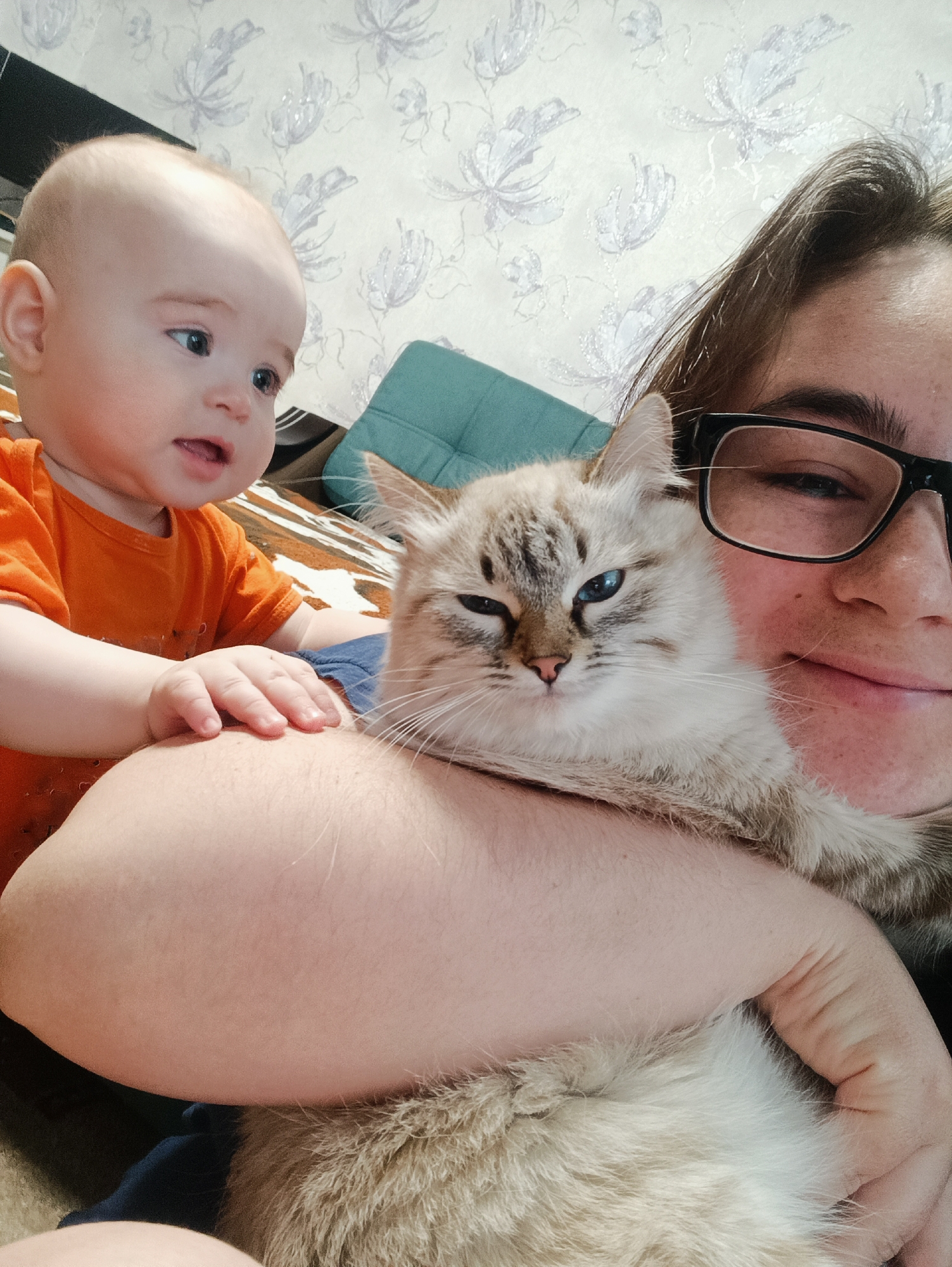 A close-up shot shows a person holding a light-colored cat, with a baby partially visible in the frame. The person is wearing glasses and has short hair. The cat has blue eyes and a slightly annoyed expression. The baby, dressed in an orange shirt, has one hand resting on the person's arm. The background includes patterned wallpaper and part of a green cushion. The image seems to be taken indoors, with the subjects positioned near a wall. The city of Noviy, Russia is not mentioned or evidenced in this image.