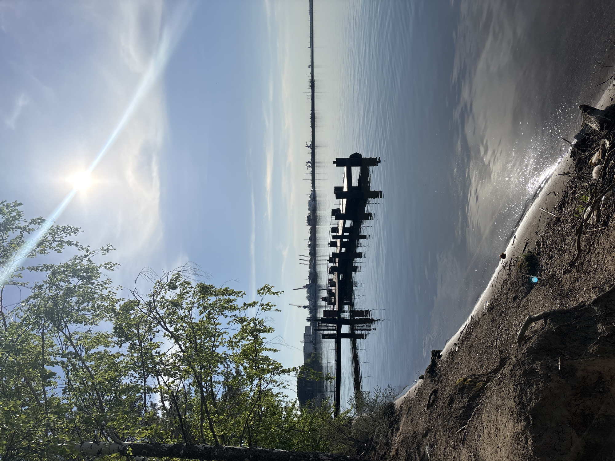 The image depicts a waterfront scene in Chaikovsky, Russia. In the foreground, there's a tree with green leaves and a grassy shoreline. A dark, weathered wooden pier extends into the calm water, its posts reflecting in the water. In the distance, a cityscape silhouette is visible on the horizon. The sky is bright with a radiant sun and wispy clouds.