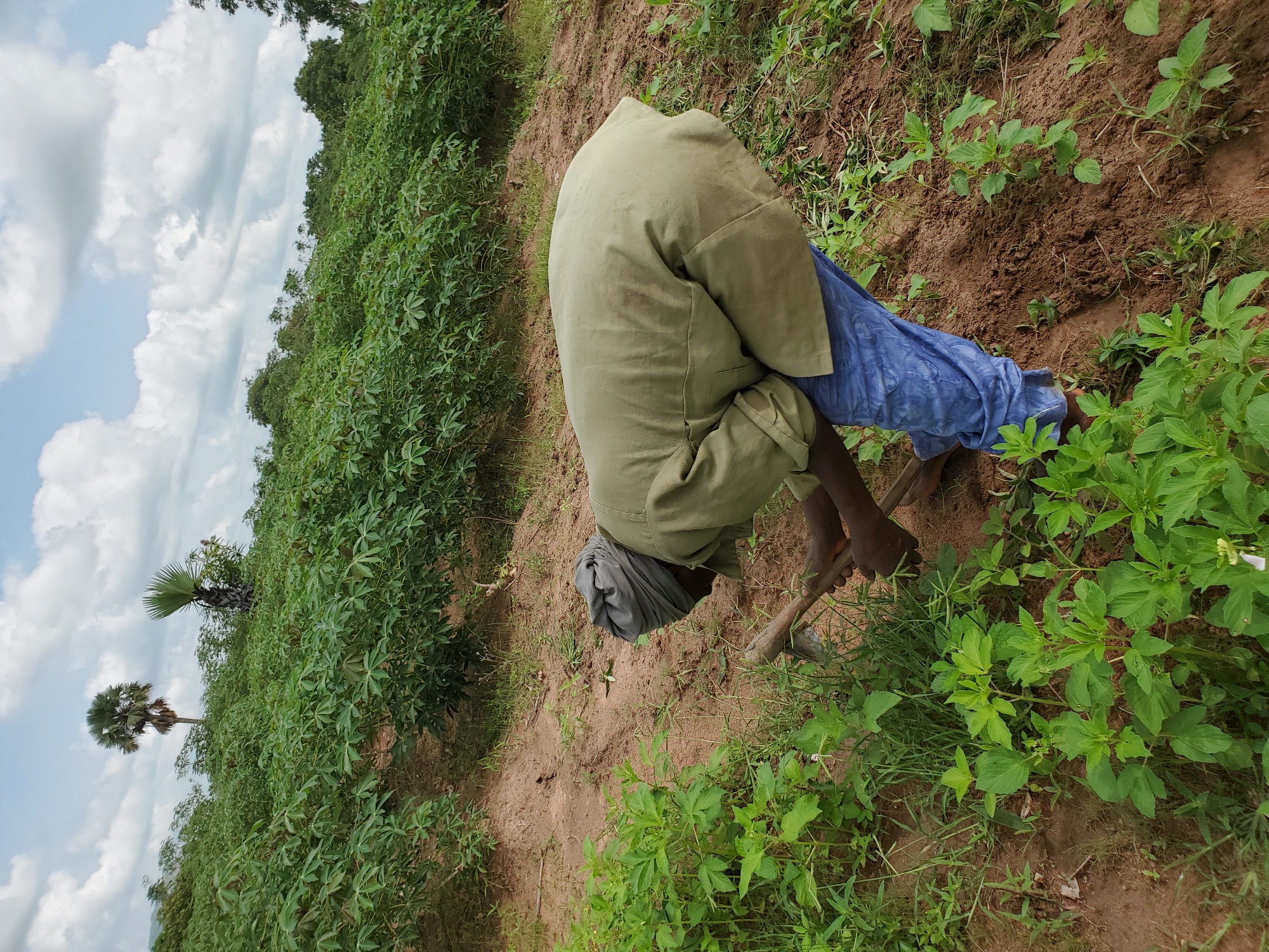 A person in Mararaba, Nigeria is working in a field with an axe. The individual is wearing a light green long-sleeved shirt, blue pants, and a gray head covering. The field contains plants and reddish-brown soil. In the background, there are trees and a cloudy sky.