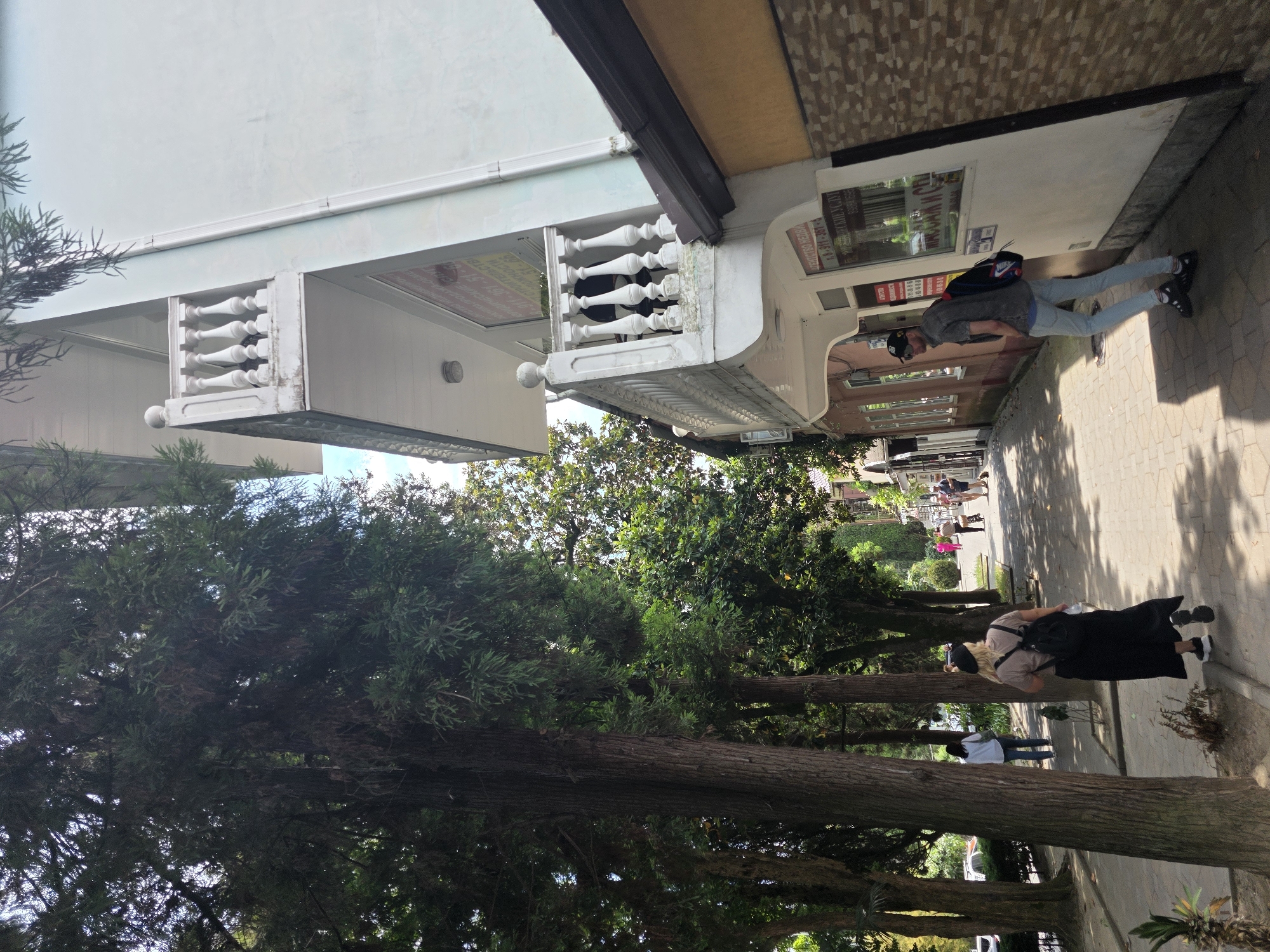 The image depicts an outdoor scene in Sochi, Russia, on a sunny day. The perspective is from ground level, looking up at a building with a balcony and a paved walkway lined with trees. Several people are visible on the walkway.
In the foreground, large, mature trees with dark bark and dense green foliage dominate the left side of the frame, casting shadows on the path. The building on the right has a light-colored facade and a balcony with white balustrades. A storefront with a window displaying items and signage is integrated into the building's ground floor. The walkway is paved with light-colored rectangular tiles.
Several individuals are scattered along the walkway. One person, wearing a grey t-shirt, light blue jeans, a black baseball cap, and a backpack, is walking away from the camera. Another person, dressed in a dark skirt and a light-colored top with a backpack, is also walking away, facing the trees. Further down the path, other figures are present, some walking, others possibly conversing.
The time of day appears to be late morning or early afternoon, given the bright sunlight and distinct shadows. The weather is pleasant, indicated by the clear sky visible through the trees. The overall atmosphere seems relaxed, consistent with a casual stroll in a public area.
Visible text on the building includes Cyrillic lettering. One sign above the storefront reads "КУХНЯ", likely indicating a kitchen or food-related establishment. Another sign in the window appears to be a price list or menu, with prices such as "500", "600", and "1200" visible, along with descriptions in Cyrillic.