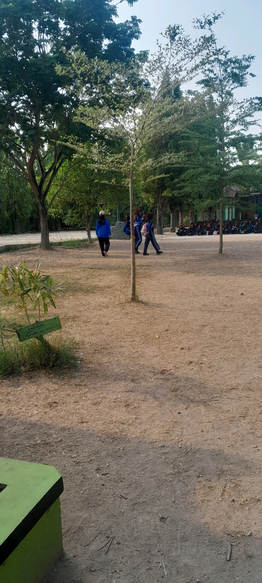 Memory