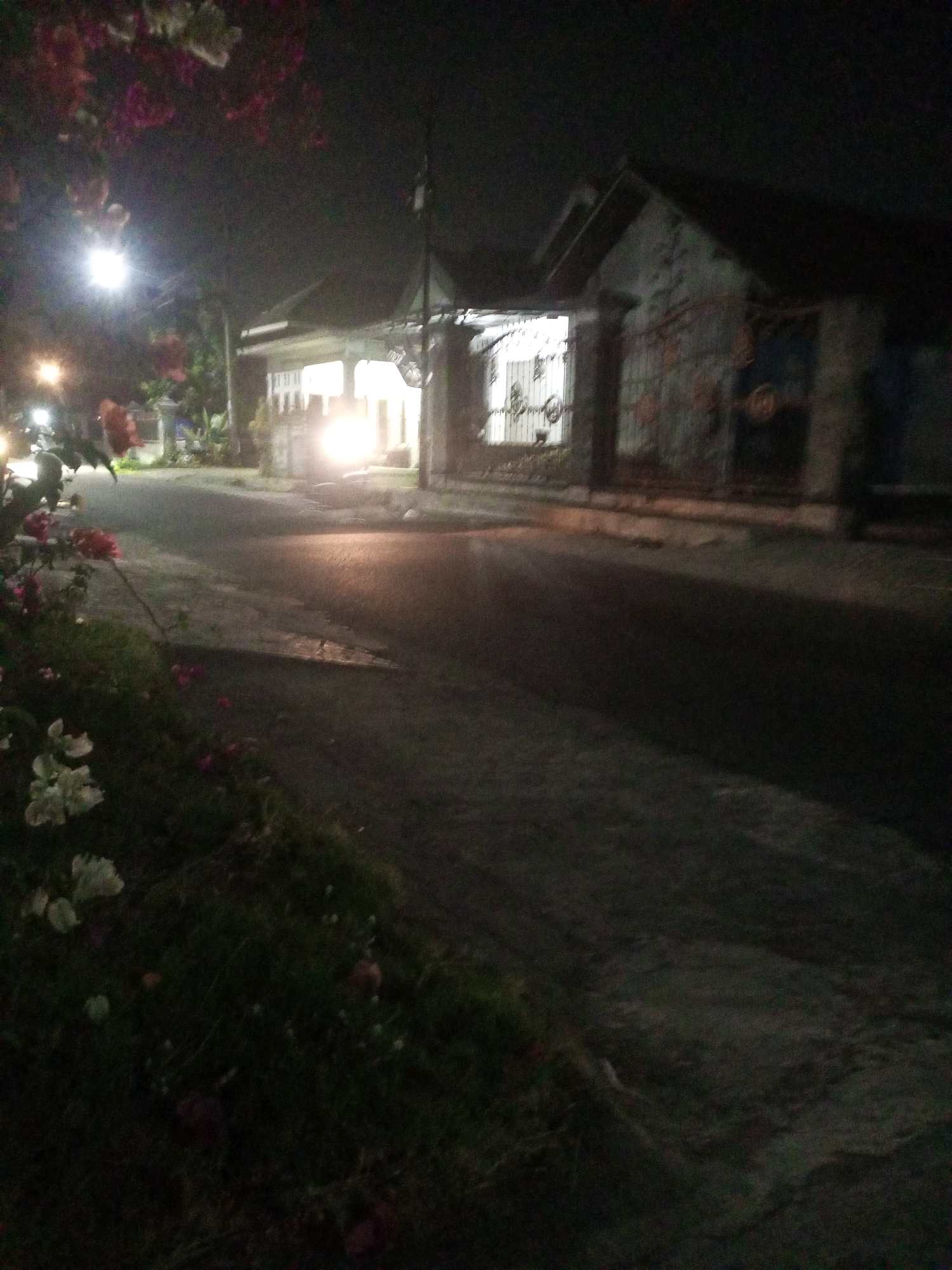 The image captures a dimly lit residential street at night in Ngasem, Indonesia. The foreground features lush greenery with several blooming flowers, predominantly white and pink. A paved road runs through the scene, reflecting the light from an illuminated house on the right side of the street. The house itself appears to be a single-story structure with a visible entrance and windows glowing with light. Across the street, another building is partially visible, its exterior characterized by rough, possibly concrete or stone walls. The overall atmosphere is quiet and serene, with the ambient light creating a soft glow on the surroundings. The presence of a streetlight and what appears to be a motorcycle on the left suggests typical elements of a residential neighborhood. The scene is devoid of any visible people or animals.