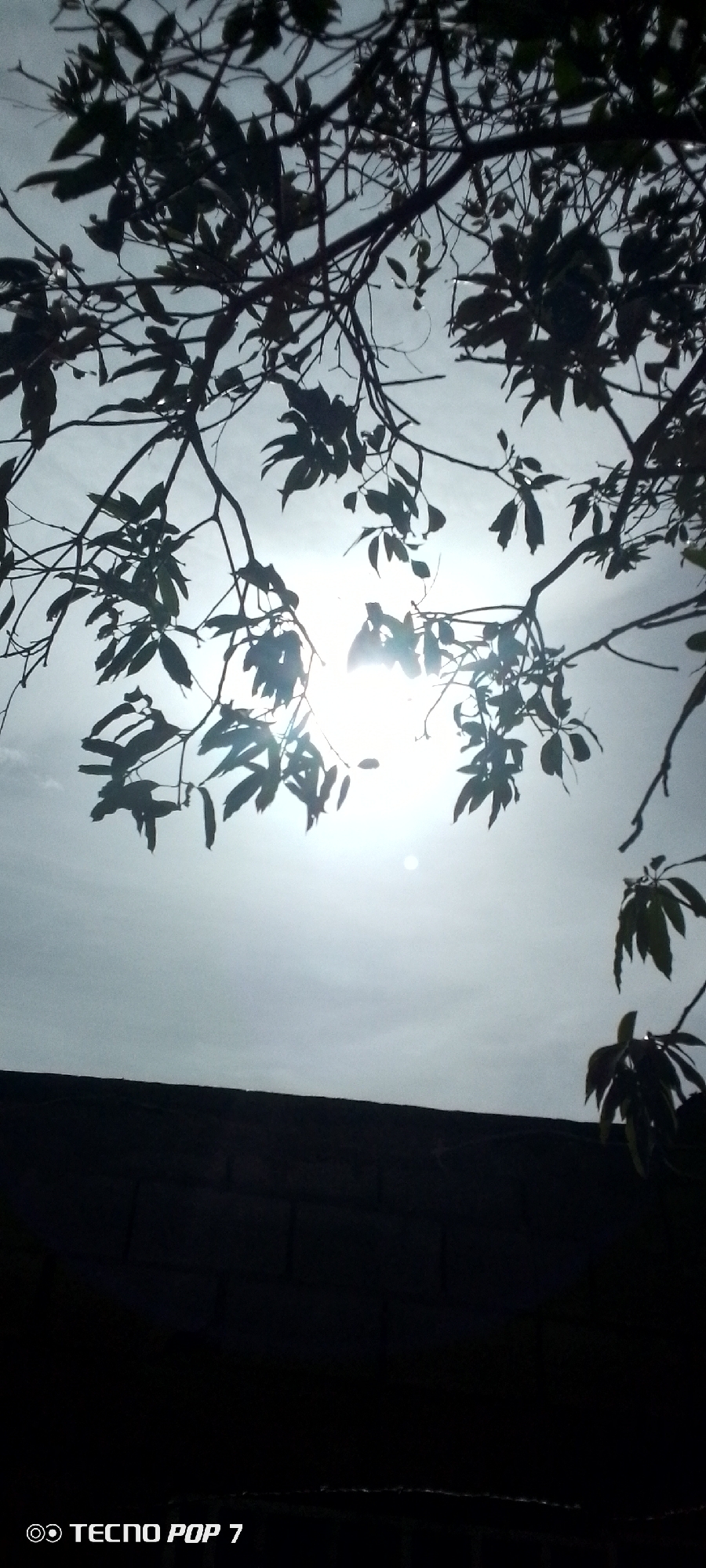The image shows a view looking up through tree branches and leaves towards a bright sky with the sun visible through the foliage. The bottom of the frame contains a dark, shadowed structure, possibly a building or wall. The location is identified by the 'TECNO POP 7' watermark, suggesting the image was taken in Altagracia, Venezuela. No people are visible.