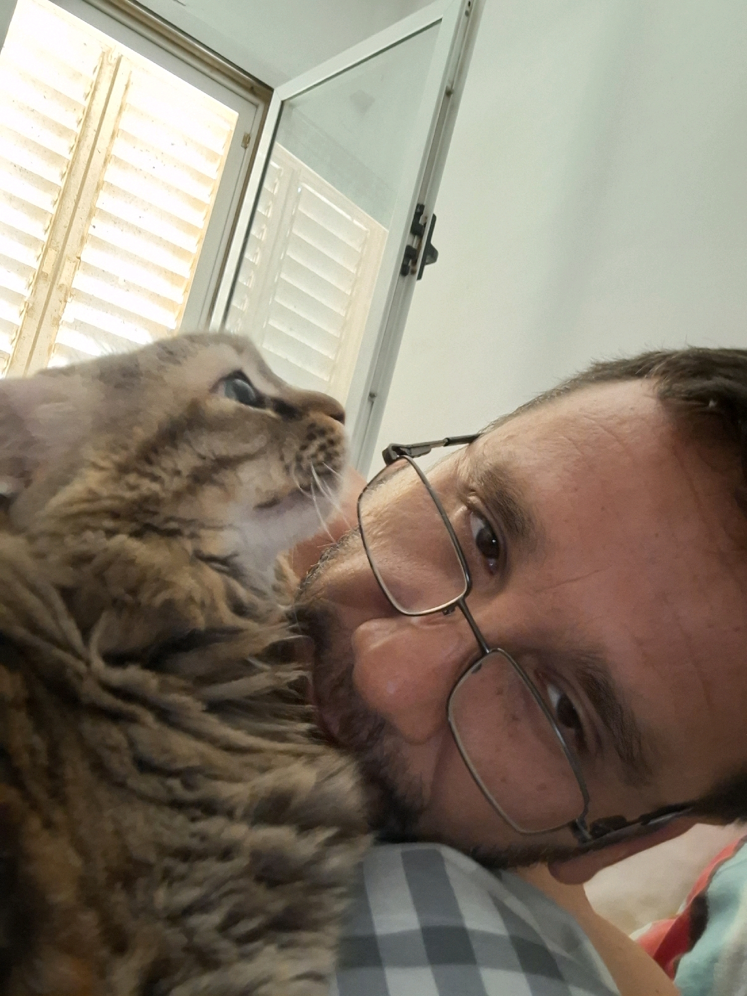 A close-up selfie shows a man wearing glasses and a cat. The man's face is partially obscured by the cat, which is nestled against his cheek. The man appears to be looking at the camera, and the cat is looking to the side. The background shows a window with blinds and a wall. This image was taken in Yerocham, Israel.