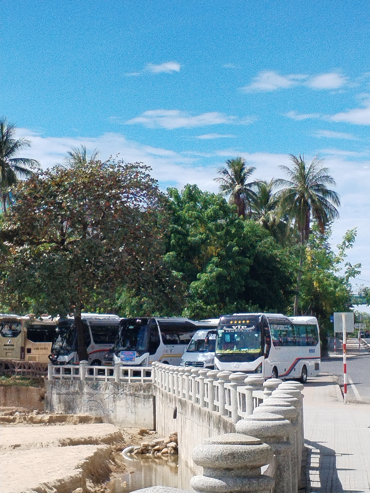 This bright, sunlit image captures a scene in Bac Nha Trang Ward, Vietnam, likely during the day. The primary subjects are a line of buses parked along a road, set against a backdrop of lush tropical foliage and a clear blue sky.
In the foreground, an ornate concrete bridge with light-colored stone balusters spans a dry or very shallow riverbed, which contains some rocks and a small flow of water. The riverbed banks are sandy and uneven.
Above the bridge, several tour buses are parked. On the far left, a light-colored bus displays the text "SAR 01327". A prominent white bus, positioned closer to the viewer, features "VIP LIMOUSINE" text along with a five-star rating and a partially visible "HYUNDAI" logo on its front. The side of this bus has red and blue stripe accents, and a license plate number beginning with "86A" is visible. Other buses, some partially obscured, are parked alongside it.
The background is filled with dense green and reddish-brown trees, including several tall palm trees, indicative of a tropical climate. The sky above is a vibrant blue with scattered, fluffy white clouds. To the far right, a section of a road with a red and white striped pole is visible. No people are present in the scene, and the activity appears to be a parking area for tour or passenger buses.