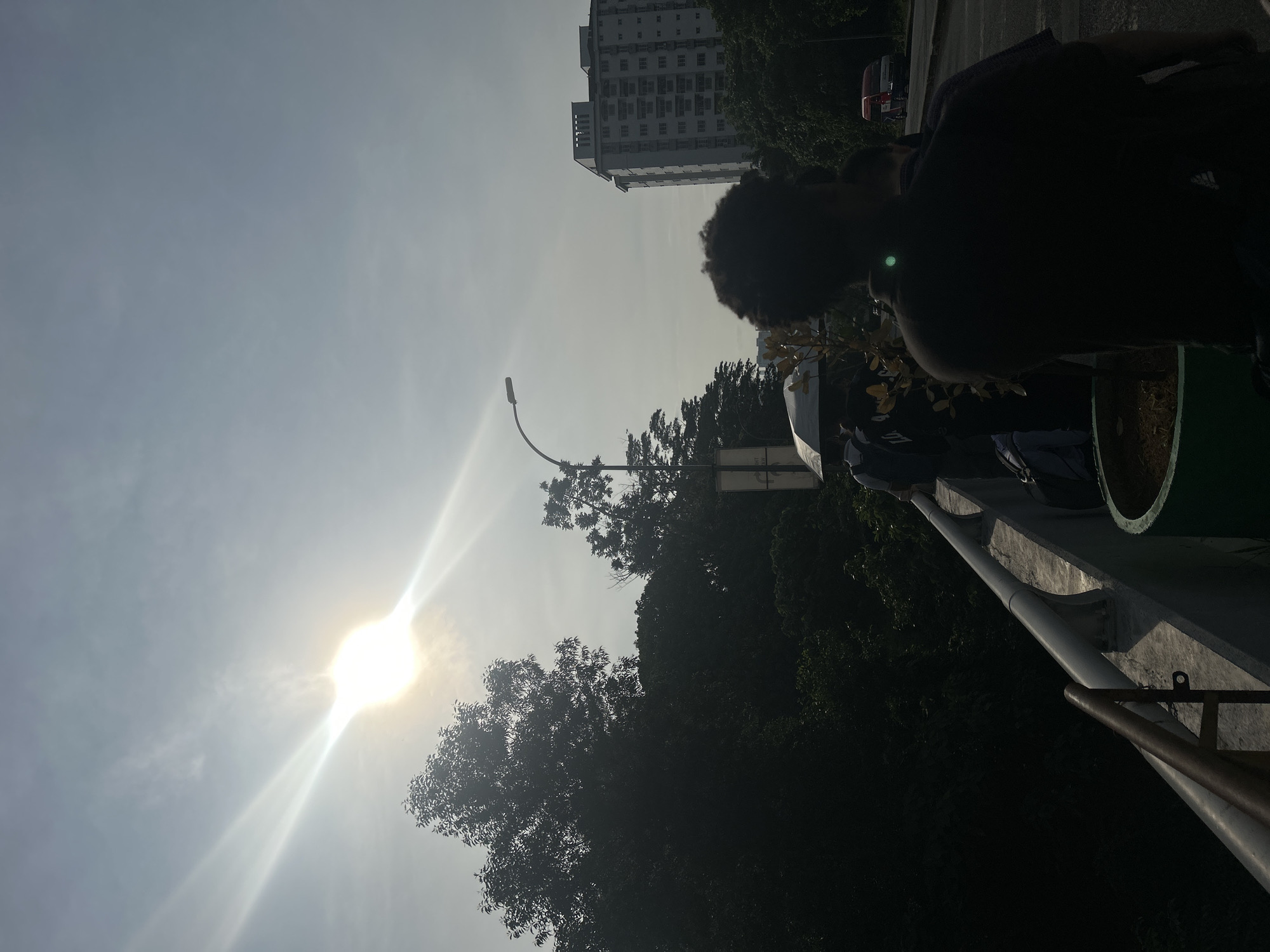 The image is taken outside in Subang Jaya City Council, Malaysia. The sun is shining brightly in the sky, slightly obscured by trees, creating a lens flare effect. A tall building is visible in the background, partially obscured by trees. A person is standing on what appears to be a bridge or elevated platform, with their back to the camera, partially obscuring the view. There is a green plant pot visible next to the person, with a metal railing along the edge of the structure. A lamppost is also visible. The overall lighting is bright, but the person and some of the surrounding elements are in shadow.