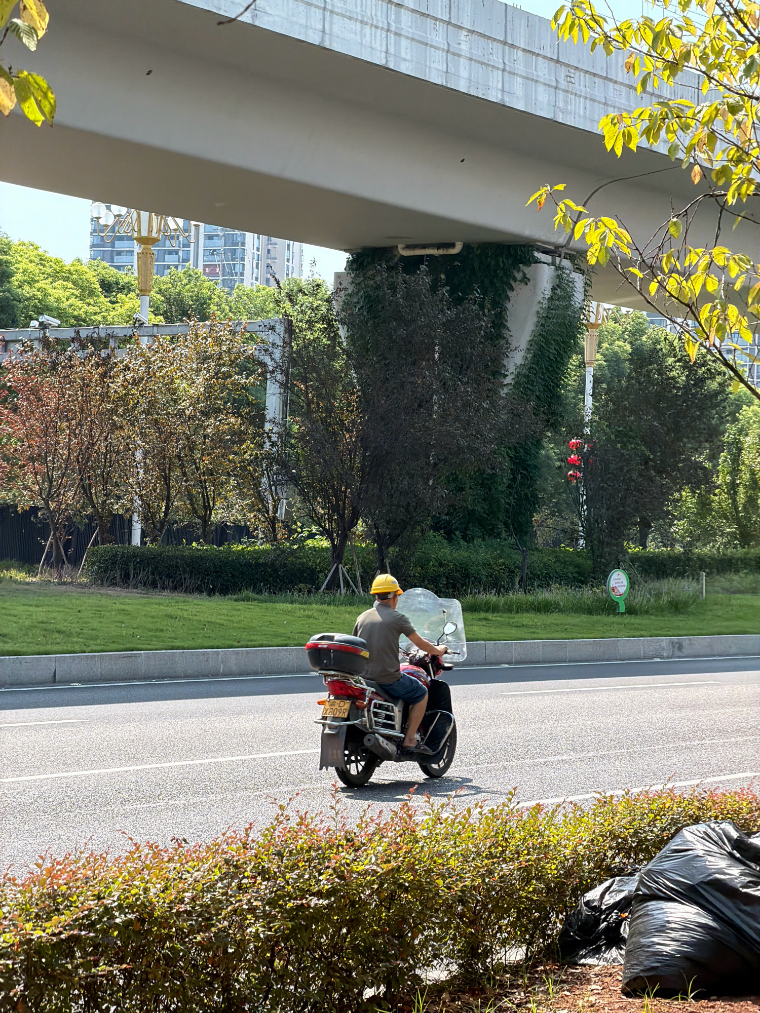 The image depicts a person riding a scooter on a road in Jiangjin, China, on a sunny day. The scooter is red with a black storage box on the back and a windshield. The rider is wearing a yellow helmet and a dark t-shirt with blue shorts. The road has white lane markings.
In the background, there is a large, elevated concrete structure, likely an overpass or bridge, with vines growing on its supports. Beyond the overpass, there are several tall buildings, trees, and streetlights. A green traffic sign is visible on the right side of the road. In the foreground, there is a dense hedge with reddish-brown leaves, and a large black garbage bag is placed next to it. The overall scene suggests an urban environment with a mix of infrastructure, nature, and everyday city life.