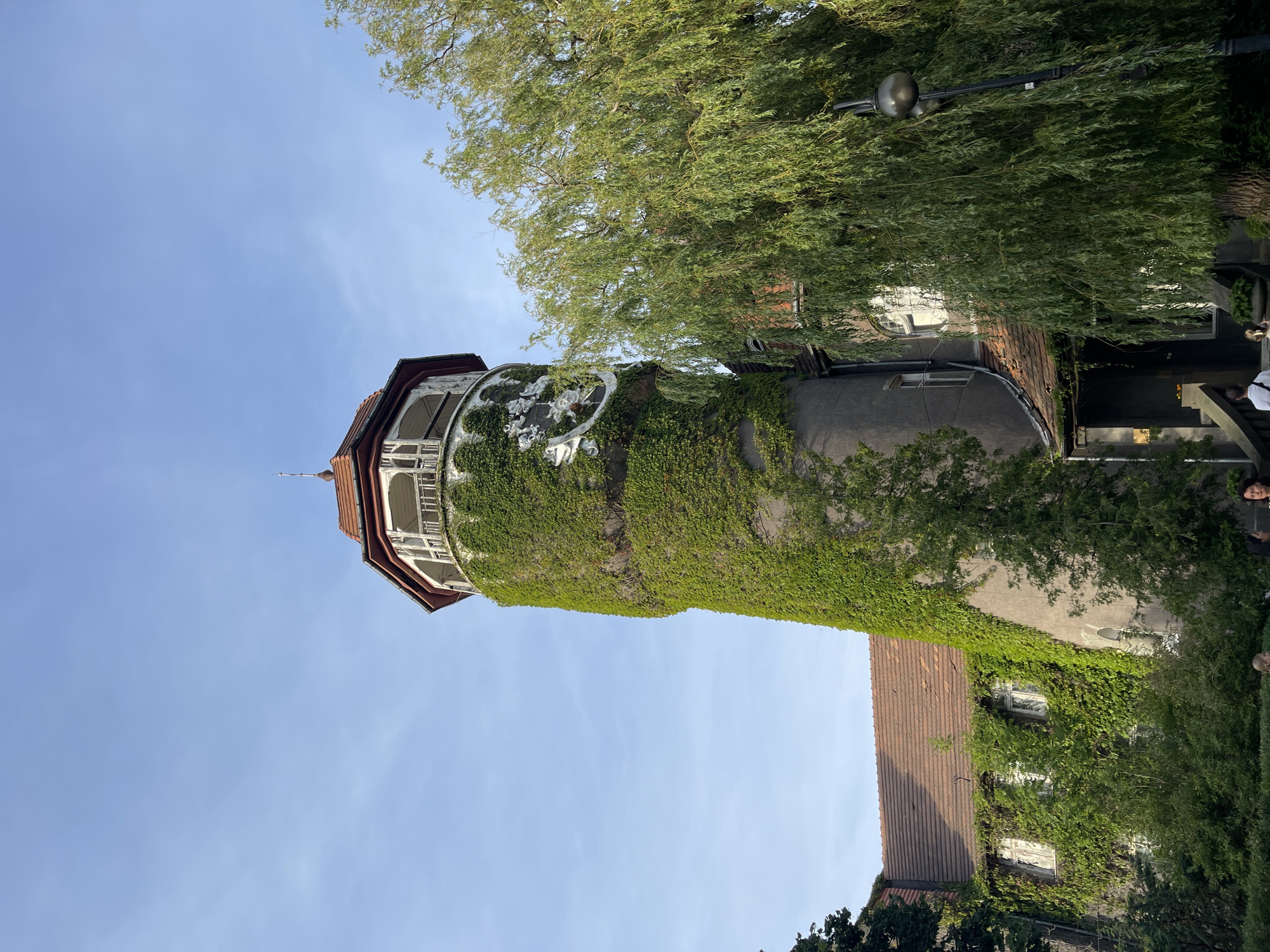 The image shows a tall, cylindrical tower covered in green ivy, with a white, ornate balcony at the top. The tower is attached to a multi-story building with a red tile roof, which also has ivy growing on its walls and around its windows. A large weeping willow tree with long, drooping branches partially obscures the right side of the tower and building. A lamppost is visible near the willow tree. The sky is clear and blue with a few faint clouds. The overall scene suggests an old, possibly historic building with a natural, overgrown aesthetic. Based on the distinctive architecture and the ivy-covered tower, this appears to be the Water Tower (Wasserturm) in Svetlogorsk, Russia, formerly part of the German town of Rauschen.