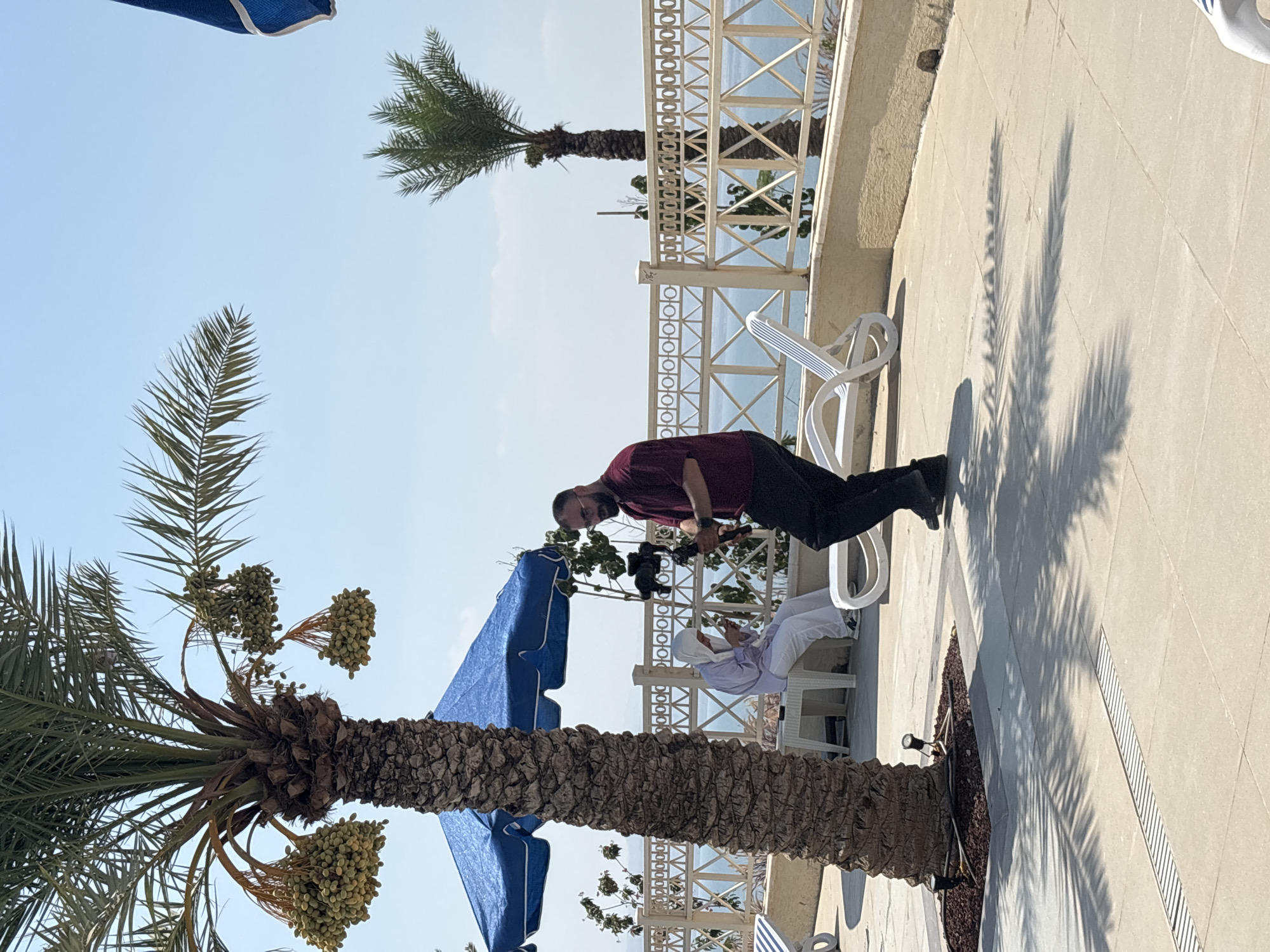 A man wearing a maroon shirt and dark pants is operating a video camera with a gimbal on a sunny day in Ma'in, Jordan. He is standing on a paved area near a large palm tree with bunches of green dates. In the background, a woman wearing a white hijab and white clothing is seated on a bench under a blue umbrella, looking at her phone. A white railing separates the paved area from a body of water, likely the Dead Sea, and a few lounge chairs are visible. The scene suggests a resort or a scenic overlook.