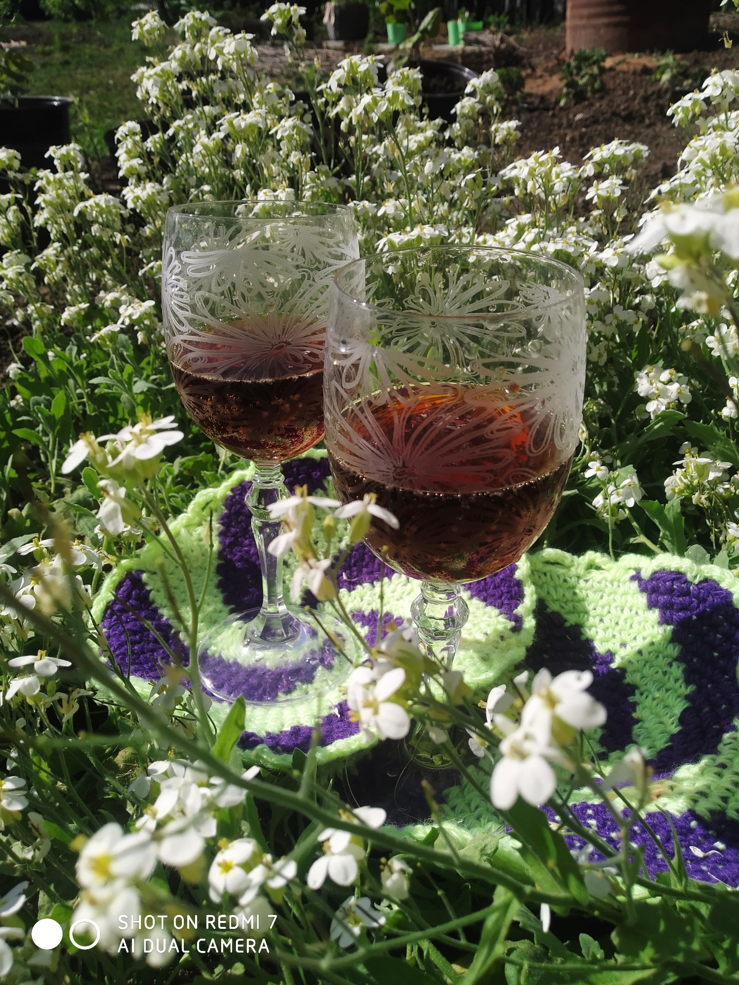 Two glasses of red liquid stand on a green and purple crocheted mat amidst a field of small white flowers. The glasses are etched with a floral design. The background shows more flowers, greenery, and a barrel in the distance. The photo was taken in Ochansk, Russia.