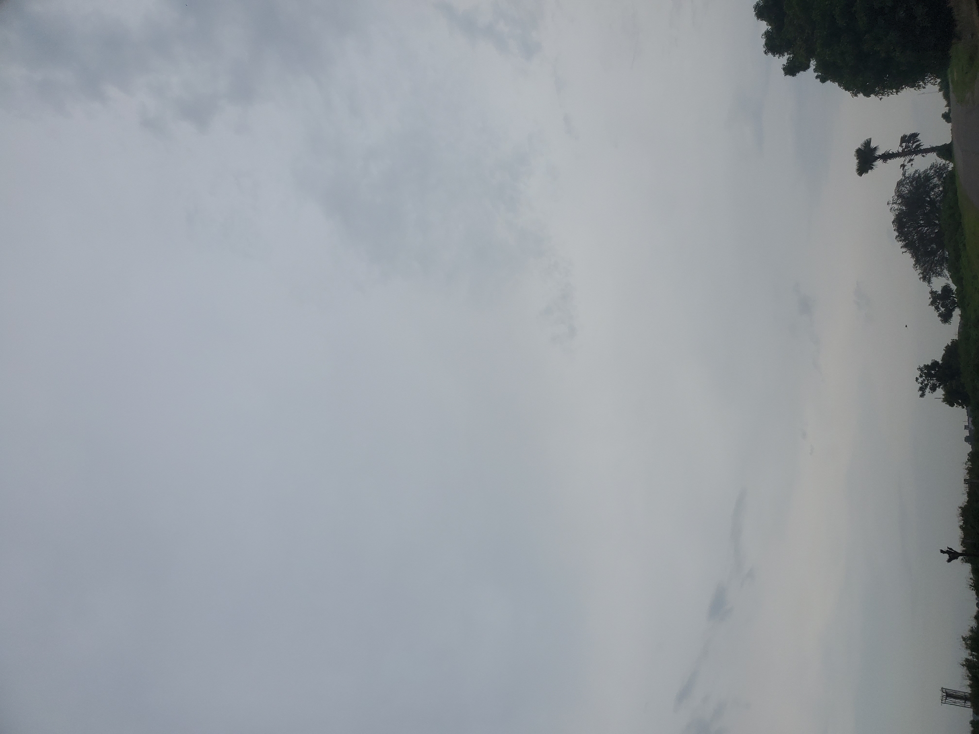 The image captures an overcast sky over a rural or semi-rural landscape, likely on the outskirts of Jos, Nigeria. The sky is predominantly gray with some lighter patches of clouds suggesting diffused daylight. In the foreground, a dirt road or path curves gently through a grassy area. To the right, a large, dark green tree with dense foliage dominates the edge of the frame. Further to the left, a tall palm tree stands out against the sky, its fronds spread wide. Other trees and vegetation are visible in the middle ground, appearing as dark silhouettes. A single, small bird is captured in flight in the upper left quadrant of the image. The overall impression is one of a quiet, natural setting under a subdued sky.