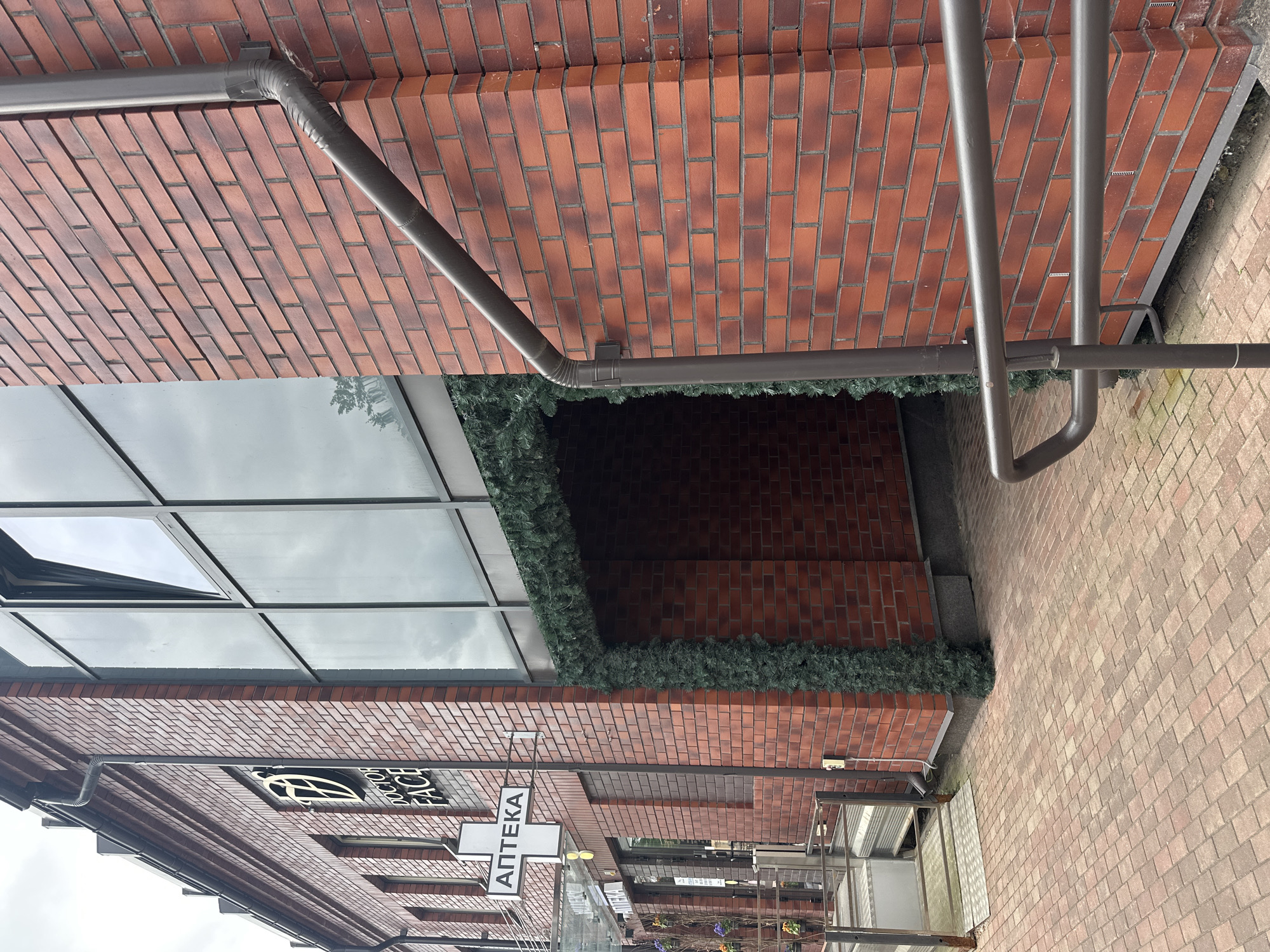 The image shows the exterior of a building with a brick facade and large windows. A sign with the text "DOCTOR FACE" and a logo is visible on the building. Another sign with a white cross and the Cyrillic text "АПТЕКА" (Apteka, meaning pharmacy) is also present. The entrance to the building is decorated with artificial greenery. The ground is paved with cobblestones. A metal railing is visible in the foreground. Based on the signs, the location is a pharmacy in Minsk, Belarus. No people are visible in the image.