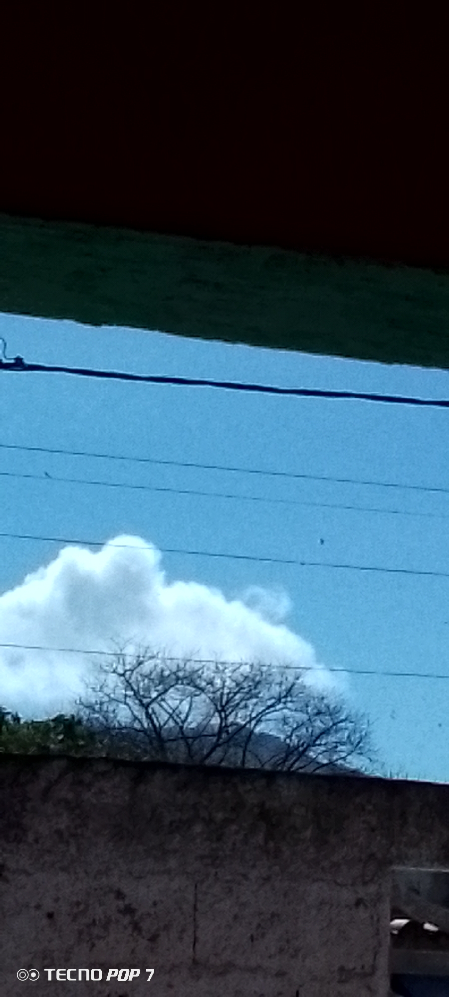The image, taken in Altagracia, Venezuela, shows a partial view of the sky with a white cloud partially obscured by bare tree branches. Several telephone wires stretch horizontally across the sky. The foreground features a gray, textured wall. Above the sky is a dark green horizontal line and a dark background above that. The "Tecno Pop 7" watermark is visible in the lower left corner.
