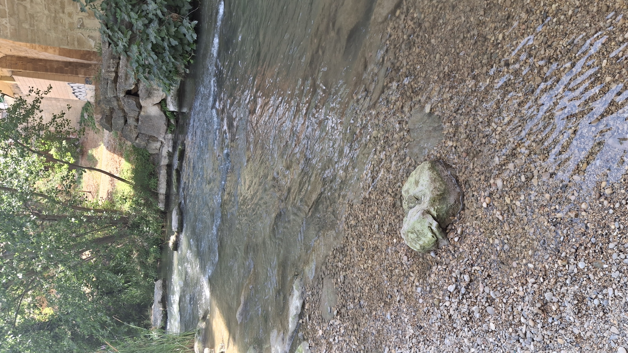 The image depicts a section of the Guadalope River flowing through the city of Alcañiz, Spain. The riverbed is covered in small, smooth pebbles, with a larger, moss-covered rock visible in the foreground on the left bank. The water is clear and shallow, with ripples indicating a gentle current. Tall green reeds grow along the left bank, and trees with lush green foliage cast dappled shadows on the water. In the background, a stone wall constructed from large, irregular blocks forms the riverbank on the right. Behind the wall, the base of a stone bridge or building is visible, with rough-hewn stone arches and some graffiti on the brickwork. The overall impression is a natural, somewhat overgrown riverside scene within an urban setting.