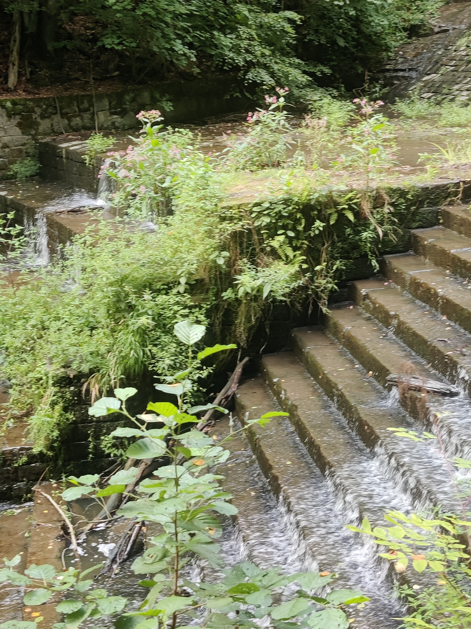 The image depicts a section of a tiered waterfall with stone steps in Lohmen, Germany. Lush green vegetation, including trees and smaller plants, surrounds the waterfall. The water flows down the stone steps, creating a cascading effect. The scene is natural and appears to be in an outdoor environment, possibly a park or a natural reserve. There are no people or animals visible in the image.