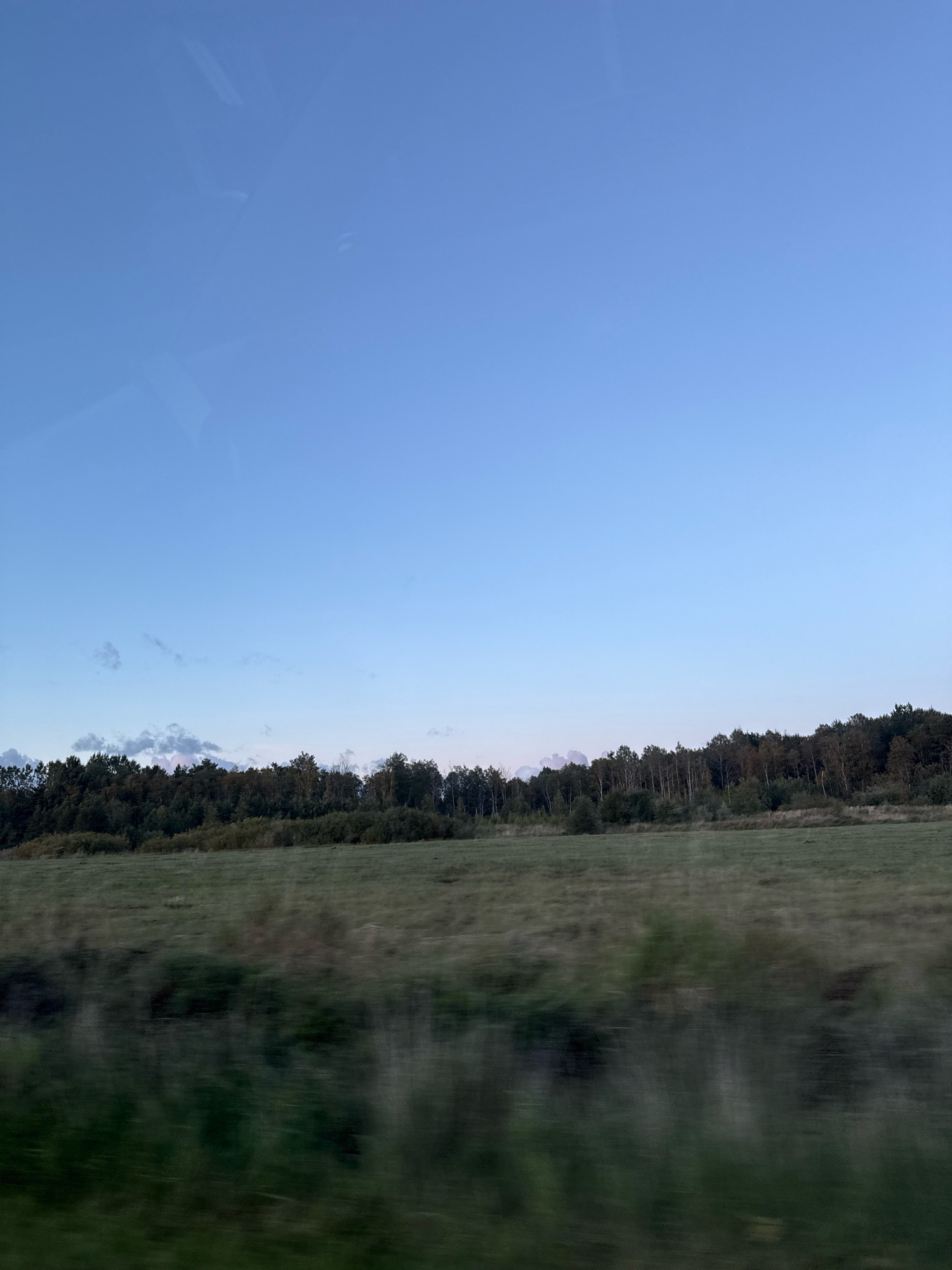 This is a full, horizontal, eye-level shot of a natural landscape in Alliku, Estonia, under a clear, light blue sky at dusk or dawn. The foreground is a blurred field of grass, suggesting motion. Beyond the field is a line of dense, dark green trees with some lighter foliage mixed in, forming a forest edge. The sky occupies the top two-thirds of the frame and transitions to a slightly darker blue near the horizon. Some wispy, light gray clouds are visible just above the treeline. The image appears to have been taken from a moving vehicle, due to the blur in the foreground.