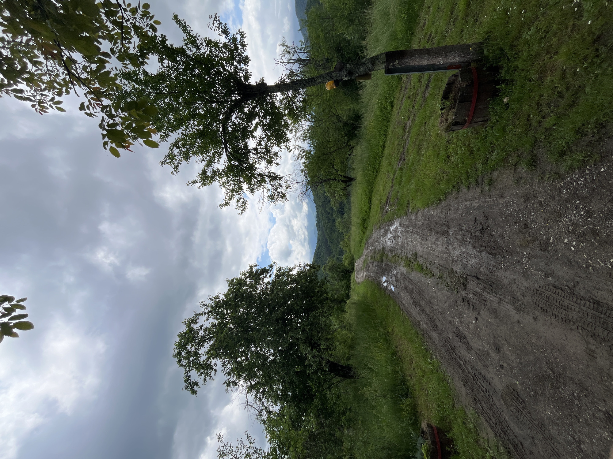A slightly rotated eye-level shot depicts a rural scene, potentially in the vicinity of Shopite, Bulgaria, though there are no immediately recognizable landmarks. A dirt path, deeply rutted with tire tracks and puddles, stretches into the distance and curves to the right. The path is flanked by green grass and verdant vegetation on both sides. In the middle distance, a tree with a yellow marker on its trunk stands next to an improvised bench fashioned from a repurposed barrel. More trees and foliage are visible in the background, with faint hints of distant mountains. The sky is overcast with a mix of dark and light clouds, suggesting a recent or impending rain. There are no people visible in the frame.