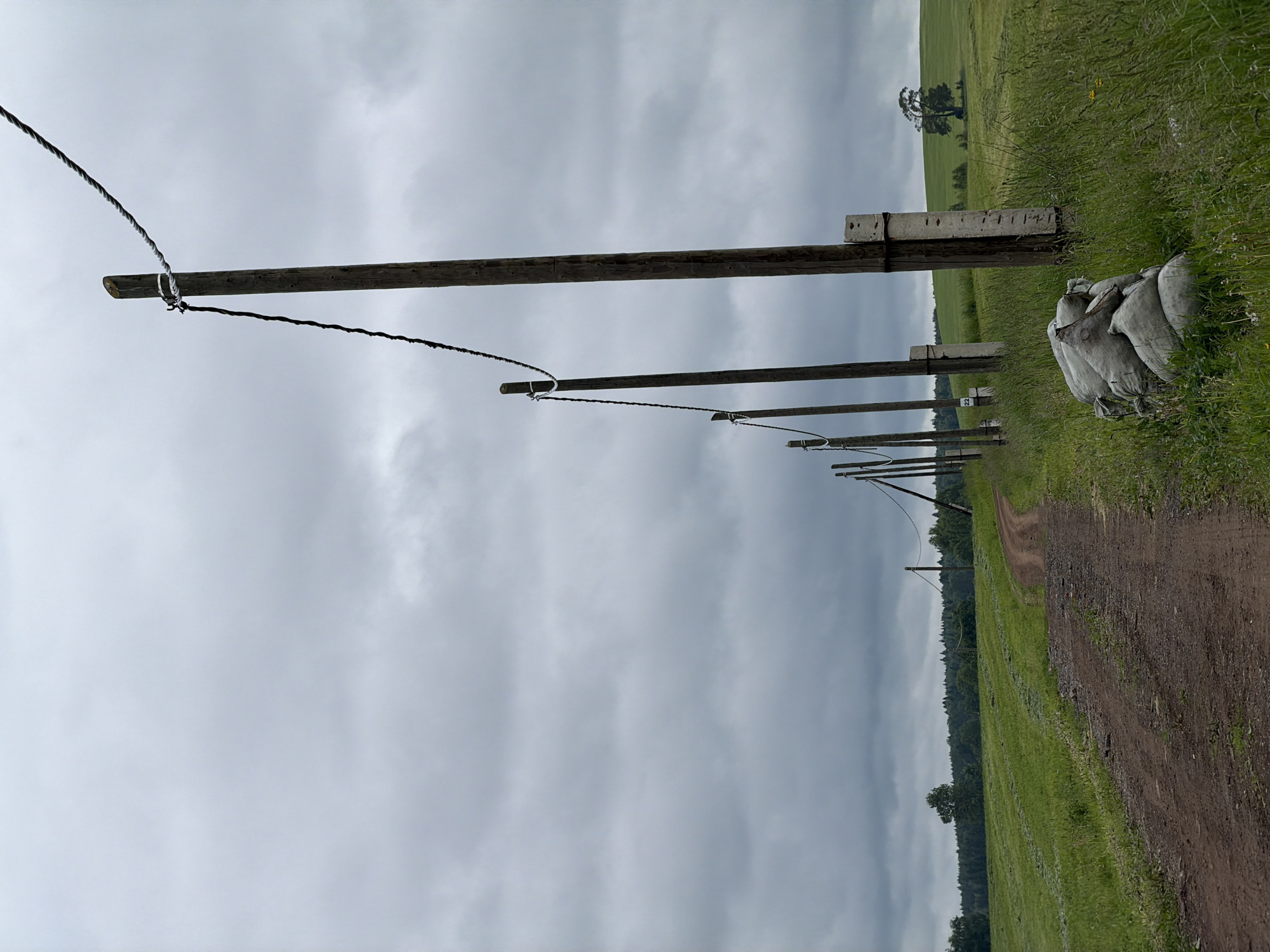 The image depicts a rural landscape under a heavily overcast, grey sky in Kechur, Russia. A narrow, reddish-brown dirt road, showing distinct tire tracks, curves from the lower left foreground towards the mid-distance on the right. A line of wooden utility poles with a single, twisted rope-like wire extends along the right side of the road, receding into the background.
In the immediate foreground, to the right of the road, a stack of approximately five or six light-colored, lumpy sacks, possibly made of burlap, rests on the ground amidst tall green grass and weeds. These sacks are positioned at the base of the closest utility pole. This pole, a sturdy wooden post, is secured by a white and black twisted rope, which also extends to subsequent poles. Several of the utility poles further down the line are braced by concrete markers or supports; one marker visible on a pole further down displays the number "22."
To the left of the dirt road, expansive green cultivated fields stretch towards a distant forest line. Portions of these fields exhibit lighter and darker green striped patterns, indicative of recent mowing or agricultural activity. To the right of the utility poles, beyond the tall grass, lies another large green field, gently sloping upwards. A solitary, mature tree with a broad canopy stands prominently on this field in the far right midground. The background is defined by a dense, dark green treeline or forest, which meets the horizon under the uniform grey sky. No individuals are present in the scene, and no discernible actions or interactions are occurring. The overall light suggests daytime under heavily diffused natural light.