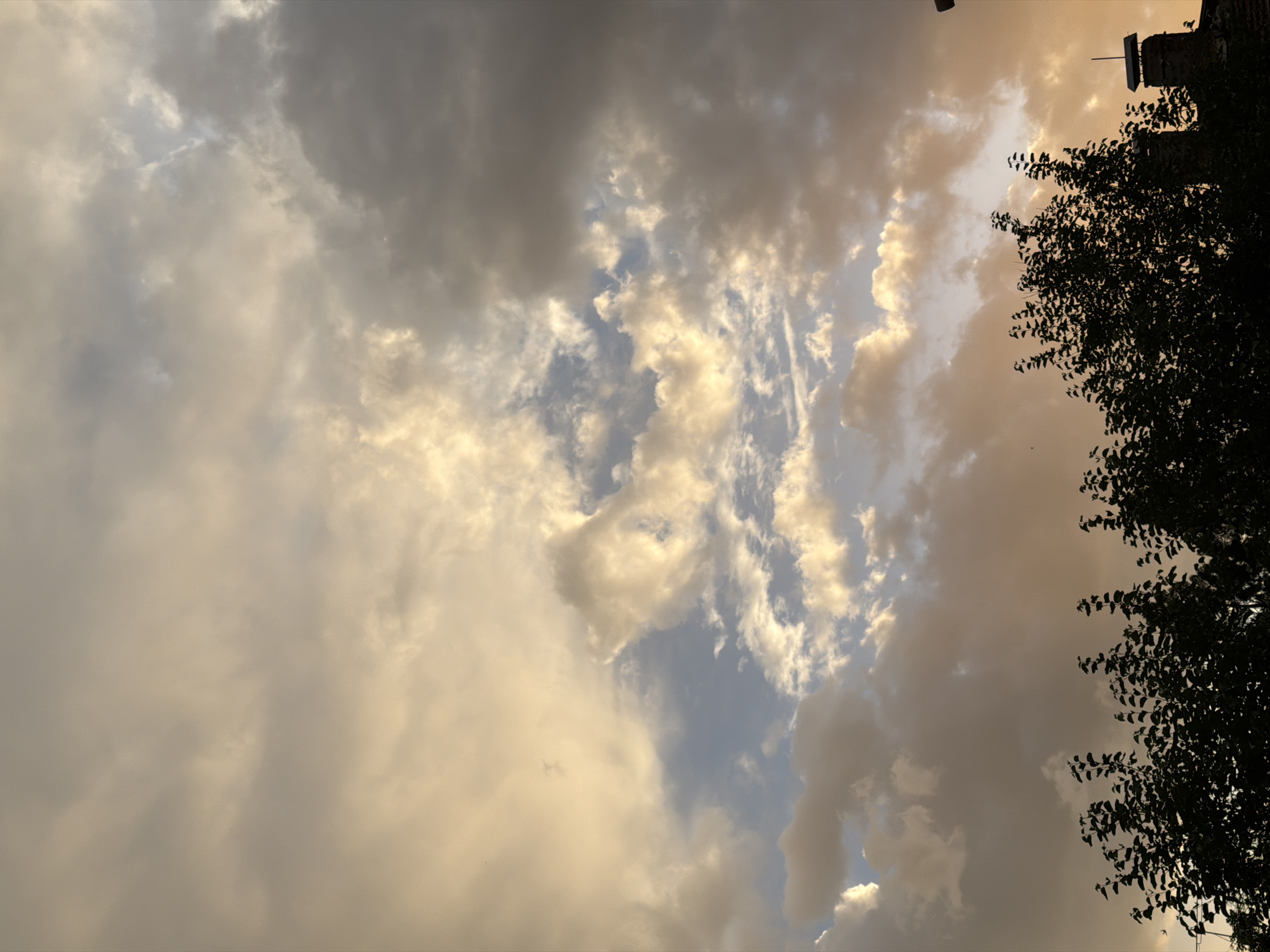 The image captures a segment of the sky over Sofia, Bulgaria, at what appears to be dusk. The sky is filled with a dramatic display of clouds, ranging from light, golden-hued formations illuminated by the setting sun, to darker, more imposing gray clouds. Patches of pale blue sky are visible between the cloud masses. In the lower portion of the frame, the dark silhouettes of dense foliage from trees dominate, obscuring much of the ground. To the right, a brick chimney with a black cap is partially visible, suggesting the presence of a building. No people or animals are discernible in the scene. The overall impression is one of a transition between day and night, with a dynamic sky as the primary focus.