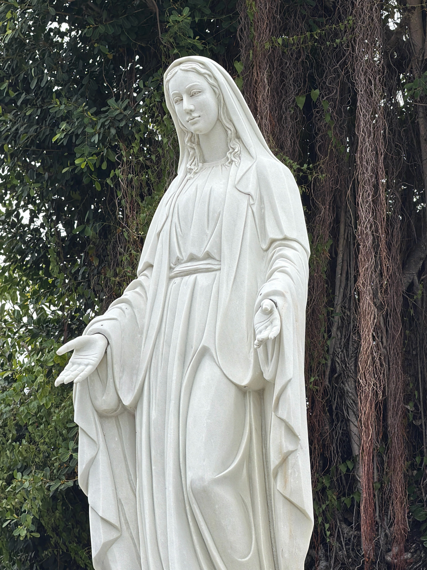 The image shows a white marble statue of the Virgin Mary in Nha Trang, Vietnam. The statue is life-sized and depicts Mary with her head slightly bowed and her arms outstretched, palms facing upward, in a gesture of welcome or offering. She is wearing a draped robe and a veil that covers her hair. The statue is positioned outdoors, with lush green foliage and hanging vines from a large tree in the background. The lighting suggests it is daytime.