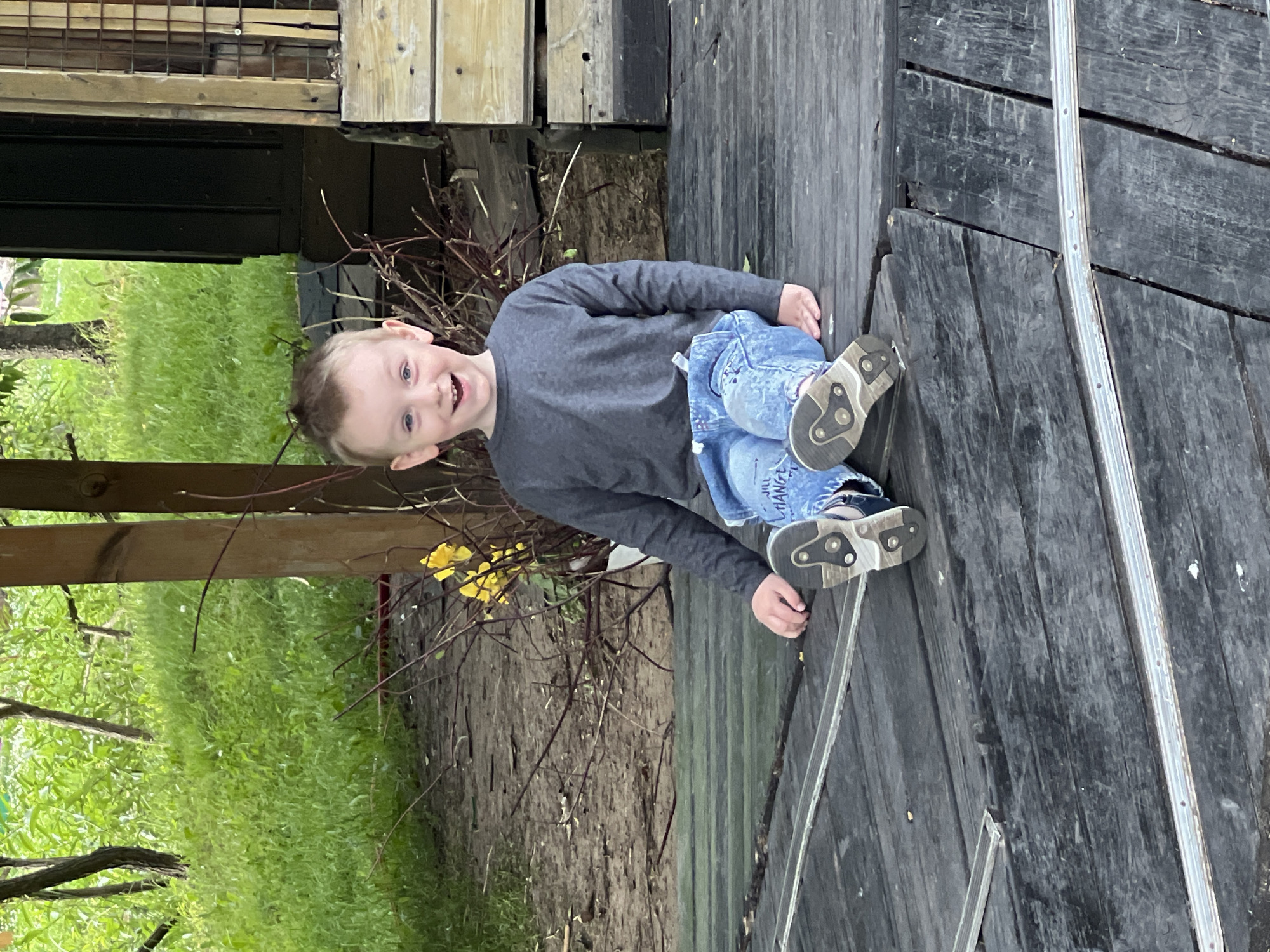 A young boy with fair hair and blue eyes is sitting on a wooden deck. He is wearing a dark grey long-sleeved shirt and blue jeans. His left leg is bent, with his foot resting on the deck. His right leg is extended, and his foot is also on the deck. He is smiling and looking towards the camera. The wooden deck appears to be made of dark planks. To the left of the boy, there is green grass and some bare branches with a few yellow flowers. In the background, there is a wooden structure with some fencing. The scene appears to be outdoors, possibly in a backyard or park. The lighting suggests it is daytime.