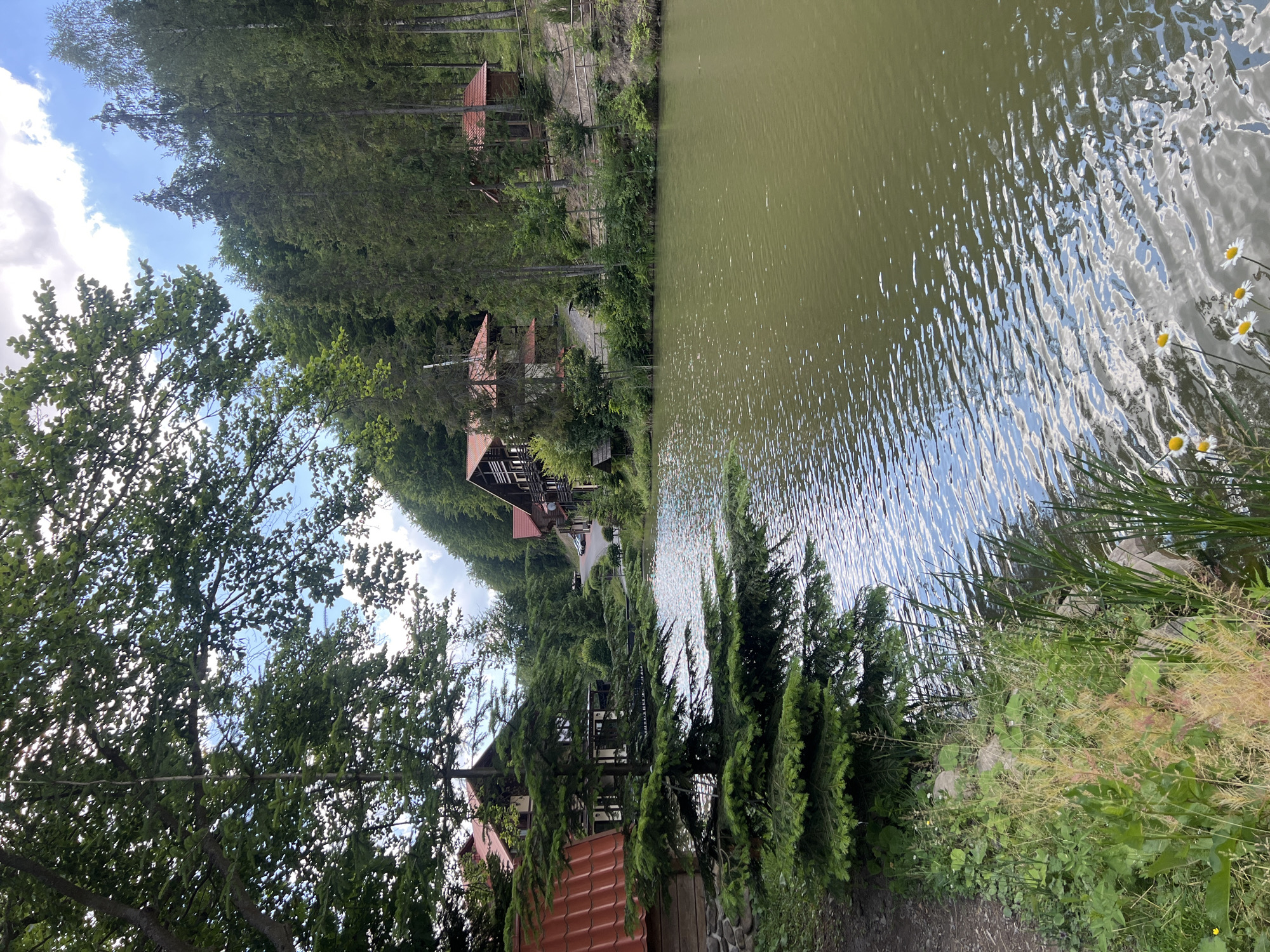 A picturesque view of a serene lake is captured in this image, set against a backdrop of lush green trees and rustic wooden buildings. The lake's surface is rippled, reflecting the sky and surrounding foliage, creating a tranquil and inviting atmosphere. Several wooden chalets with red-tiled roofs are nestled amongst the trees on the far bank of the lake, suggesting a vacation resort or a quiet residential area. The foreground features tall green trees and a small patch of wild flowers, adding a touch of natural beauty to the scene. The overall impression is one of peace and natural harmony, characteristic of the charming village of Khashchovania in Ukraine.