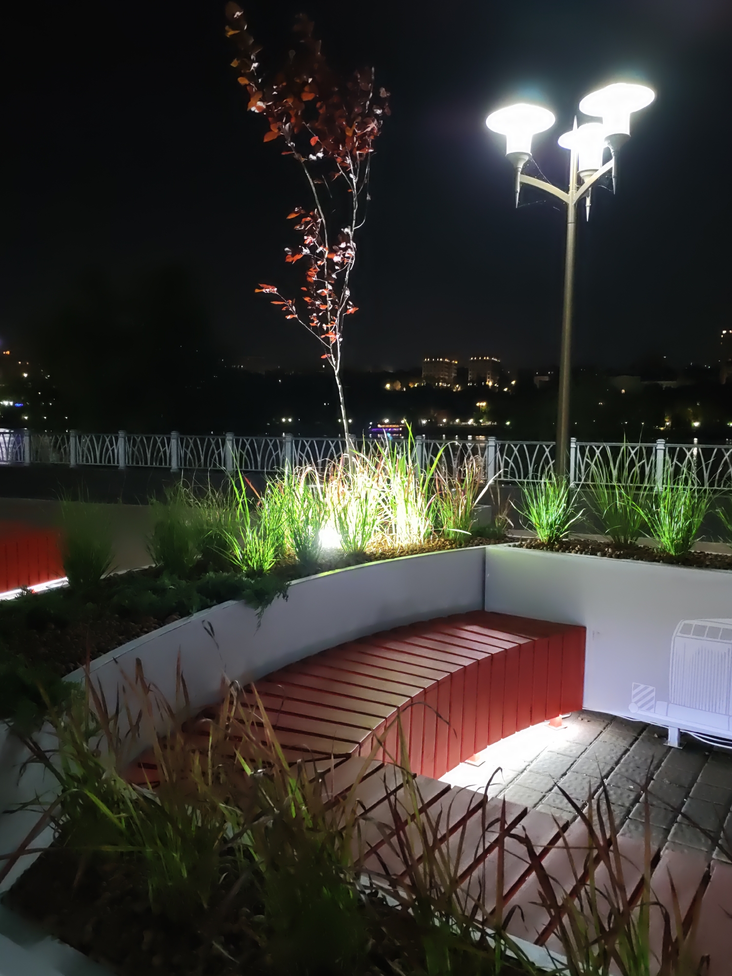 An elevated view at night captures a modern urban park setting, likely located along the Don River embankment in Rostov-on-Don, Russia. In the foreground, a red, slatted bench curves along the edge of a raised planter filled with illuminated ornamental grasses and darker ground cover. A small, slender tree with red leaves stands to the left, its branches silhouetted against the dark sky.
Further back, a distinctive multi-headed streetlamp with three luminous white shades stands tall. Beyond the lamp, a white decorative railing runs along the perimeter of the park, separating it from a body of water. Across the water, the city skyline is visible, dotted with lights from buildings and a boat on the river. The ground is paved with interlocking stones. A white ventilation grate is visible to the right of the bench. The overall impression is one of a well-lit, contemporary public space designed for evening enjoyment.