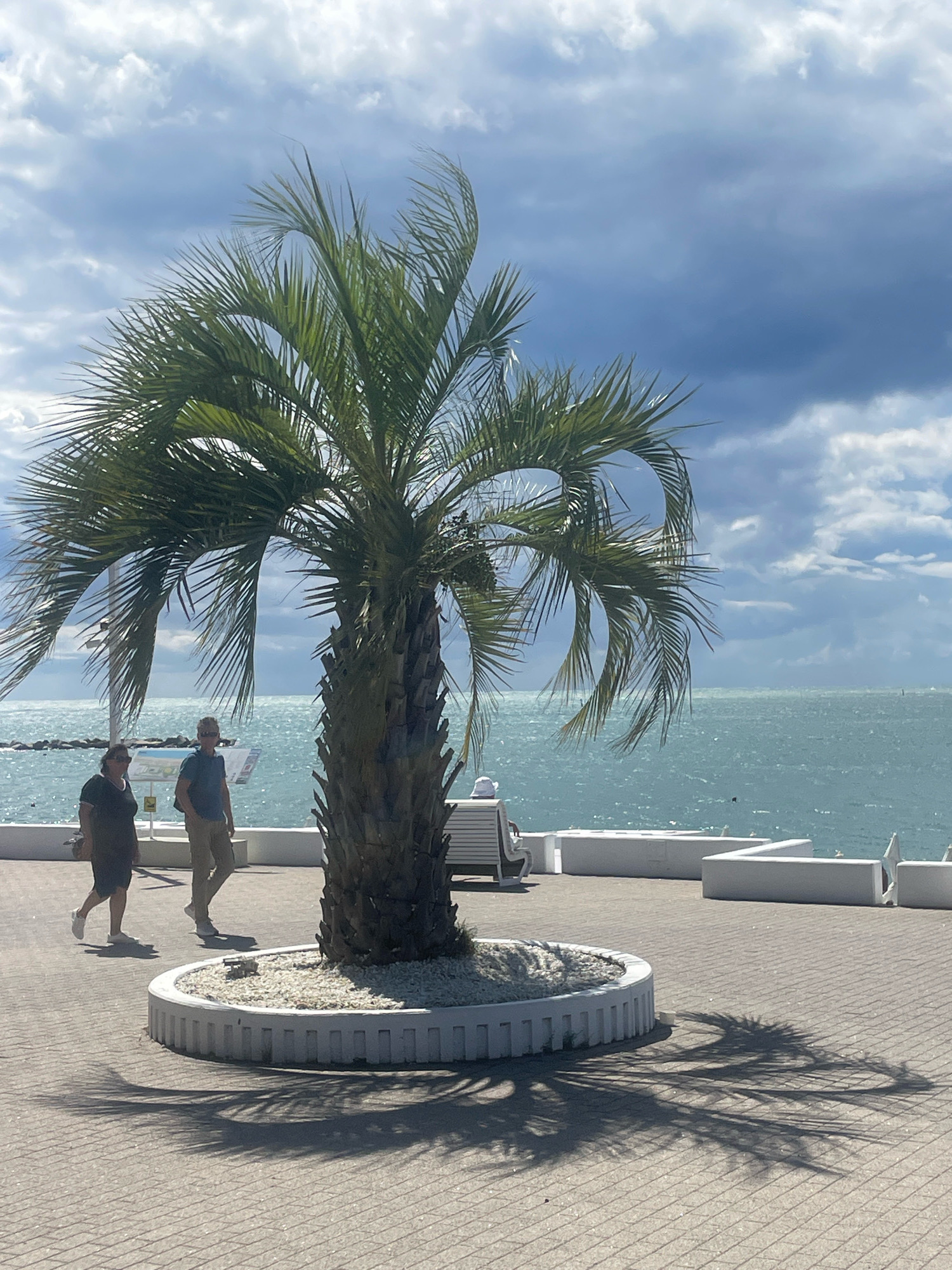 A palm tree casts a long shadow on a paved walkway near the sea. Two people are walking on the walkway, and a few white lounge chairs are visible in the background. The sky is cloudy, with patches of blue visible. The sea is choppy and appears to be windy. This scene is likely located in the city of Sochi, Russia, a popular resort town known for its palm trees and coastal location.