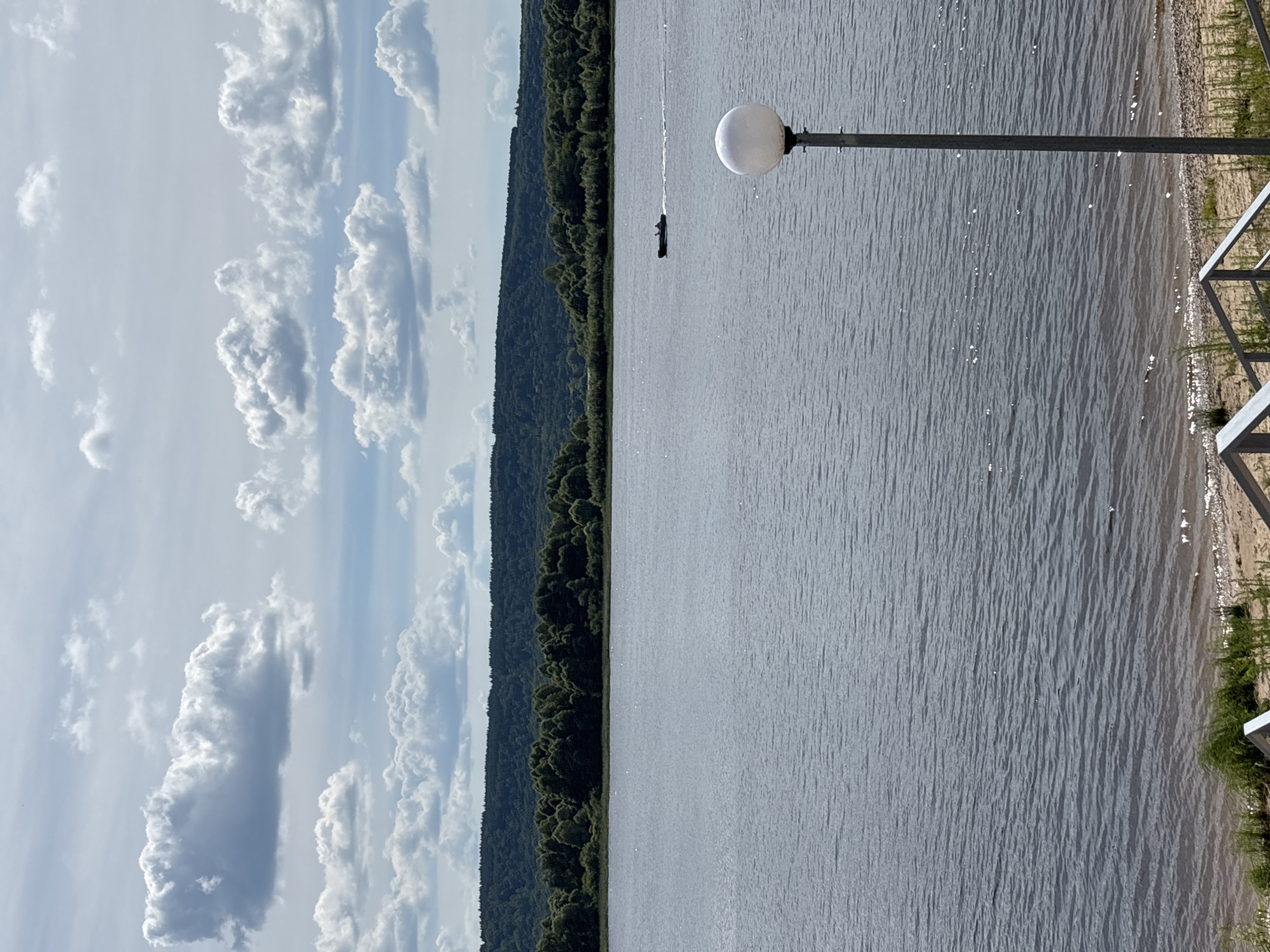 This is a vertically oriented, eye-level shot of a body of water, likely a river, on a cloudy day. The scene is divided into distinct sections. On the left, a vast expanse of sky is filled with dramatic, fluffy white cumulus clouds against a pale blue backdrop. The clouds create interesting shadows and shapes, suggesting movement and depth.
Adjacent to the sky, on the left side of the image, is a dense, dark green forest that slopes down to the water's edge. The trees are tightly packed, creating a textured wall of foliage that contrasts with the lighter tones of the sky and water.
The majority of the image is dominated by the water's surface, which is rippled and shows glints of sunlight reflecting off its surface, indicating it's likely daytime. In the middle distance on the water, a small, dark silhouette of a boat or a person in a kayak can be seen, creating a sense of scale within the expansive environment. Closer to the right side of the frame, a tall, modern lamp post with a spherical white light fixture stands at the edge of the water, suggesting a developed area like a park or promenade. Further to the right, a sandy embankment with some sparse green vegetation is visible, and a metal railing can be seen in the foreground, implying a man-made structure bordering the natural landscape.
The overall mood is one of serene natural beauty with a touch of human presence. The weather appears to be partly sunny with periods of cloud cover. The location cues, such as the dense forest and the wide body of water, along with the context provided, point to a location in Zvenigovo, Russia. No visible text is present in the image.