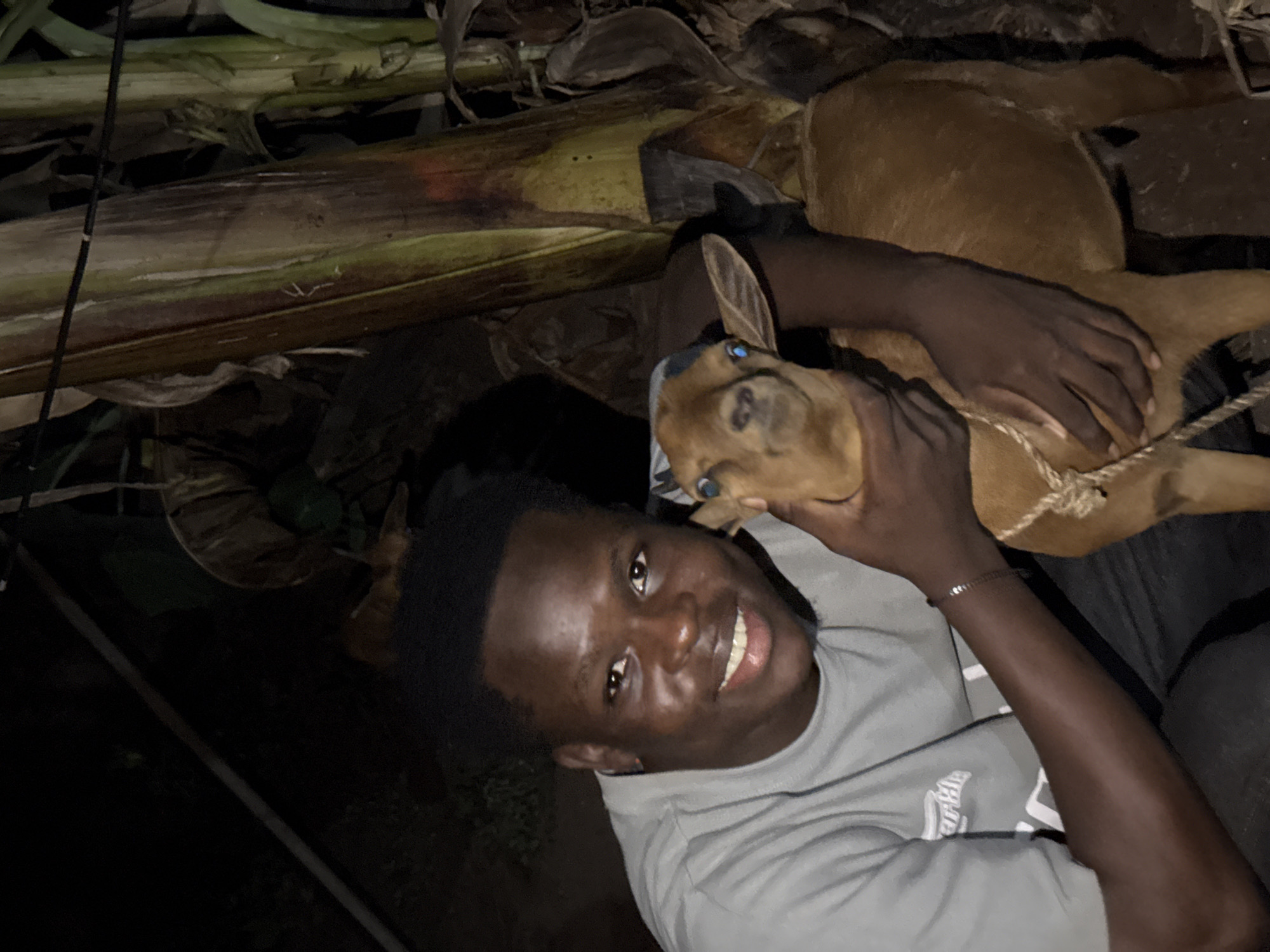 A young man is captured in a close-up, diagonal shot, warmly embracing a small dog in what appears to be a dimly lit, natural outdoor setting in Eziudo, Nigeria. The background consists of large, fibrous plant stalks, resembling those of banana or plantain trees, indicating a verdant environment.
The man, with dark skin and short, dark hair, is smiling broadly at the camera, projecting a cheerful and friendly demeanor. He is wearing a light-colored (possibly grey) t-shirt, which has some indistinct text on its front, and a dark bracelet on his right wrist. He holds the light brown dog with both hands, one arm wrapped around its body and the other hand gently touching its head.
The dog, likely a puppy or a small breed, has smooth, light brown fur and notable light-colored or blueish eyes. It is looking upwards, possibly at the camera or its owner, with a curious or attentive expression. A thin rope or string is visible around the dog's neck or body. The dark lighting suggests the photograph was taken at night or in an area with minimal illumination, with the subjects brightly lit, possibly by a flash. The overall scene conveys a tender moment of companionship between the man and his pet.