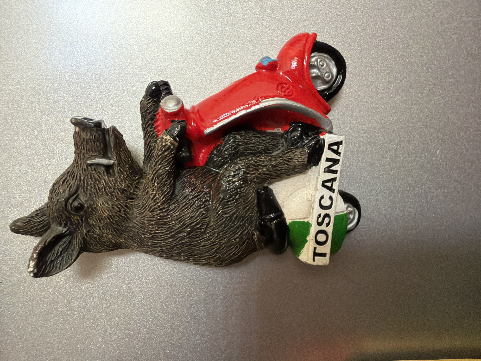A novelty magnet depicts a brown, fuzzy wild boar character riding a red scooter. The boar is seated with its arms resting on the handlebars. The scooter has a silver trim and a small blue light on the front. A white plate with the word "TOSCANA" in black letters, framed by green stripes, is attached to the side of the scooter. The magnet is adhered to a textured, metallic surface, likely a refrigerator door. The background is out of focus, showing a gradient from light grey to darker grey. The scene appears to be indoors, with artificial lighting casting subtle shadows. The image is a close-up shot, focusing entirely on the magnet. There is no information in the image to suggest any connection to Pazardzhik, Bulgaria.